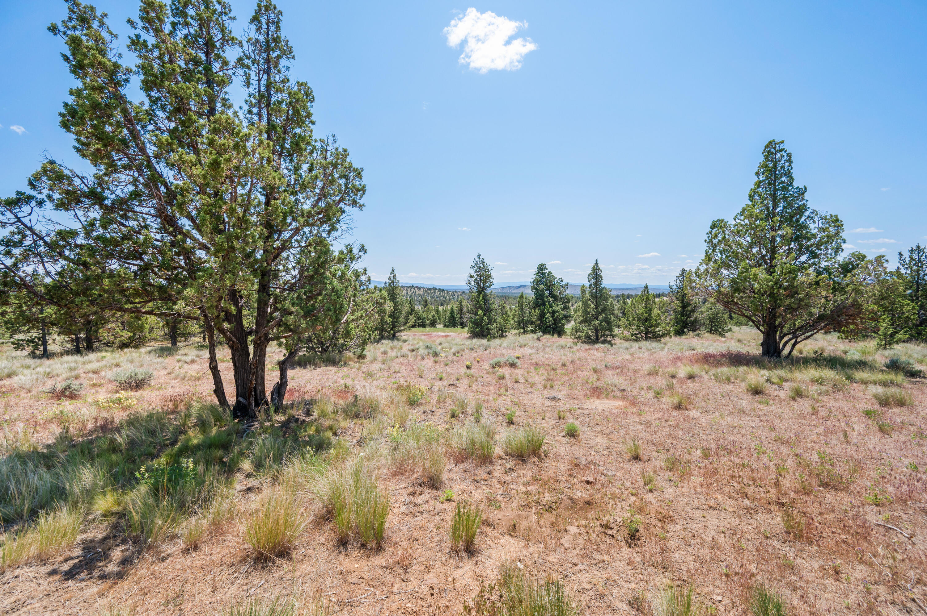 Prineville, Oregon, 97754, United States, 3 Bedrooms Bedrooms, ,2 BathroomsBathrooms,Residential,For Sale,1848132