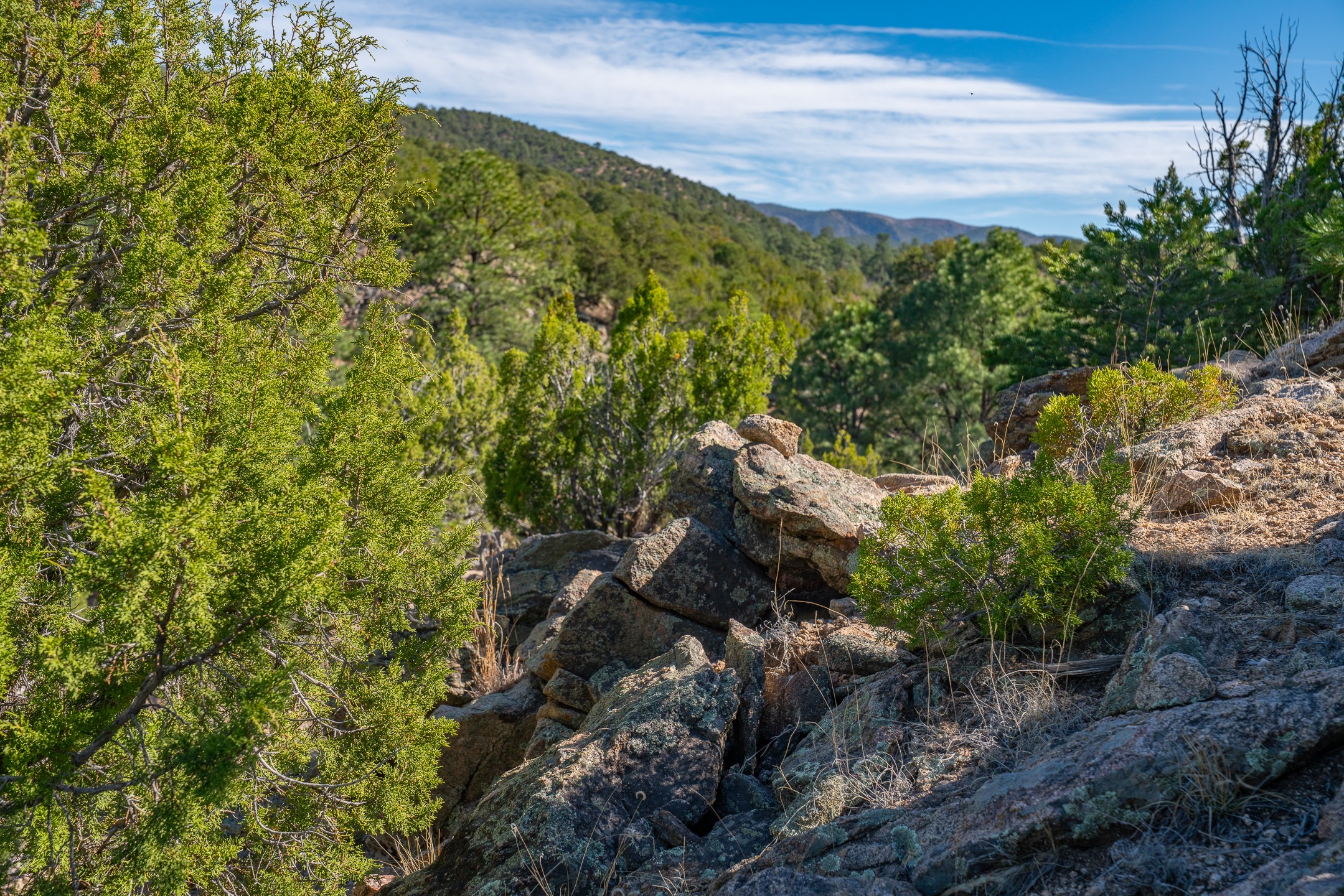 3.5 Acre Lot Camino Del Canon - 物件實景