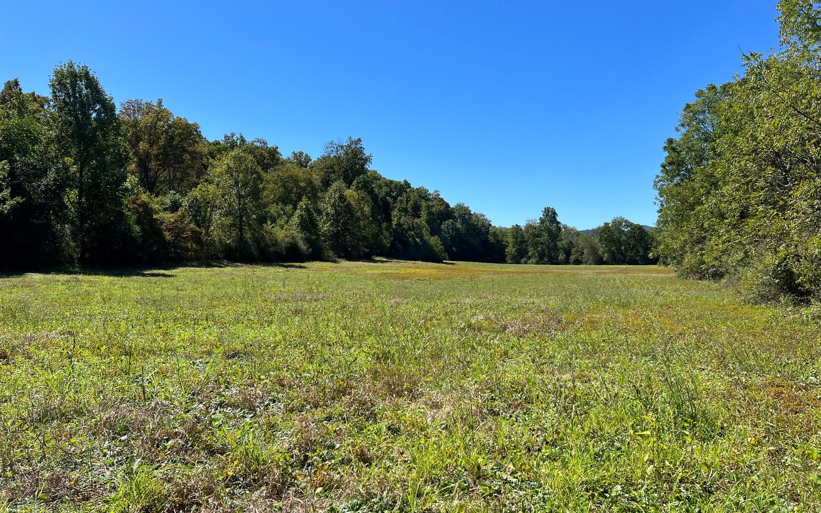 Hayesville, North Carolina, 28904, United States, ,Residential,For Sale,1943293