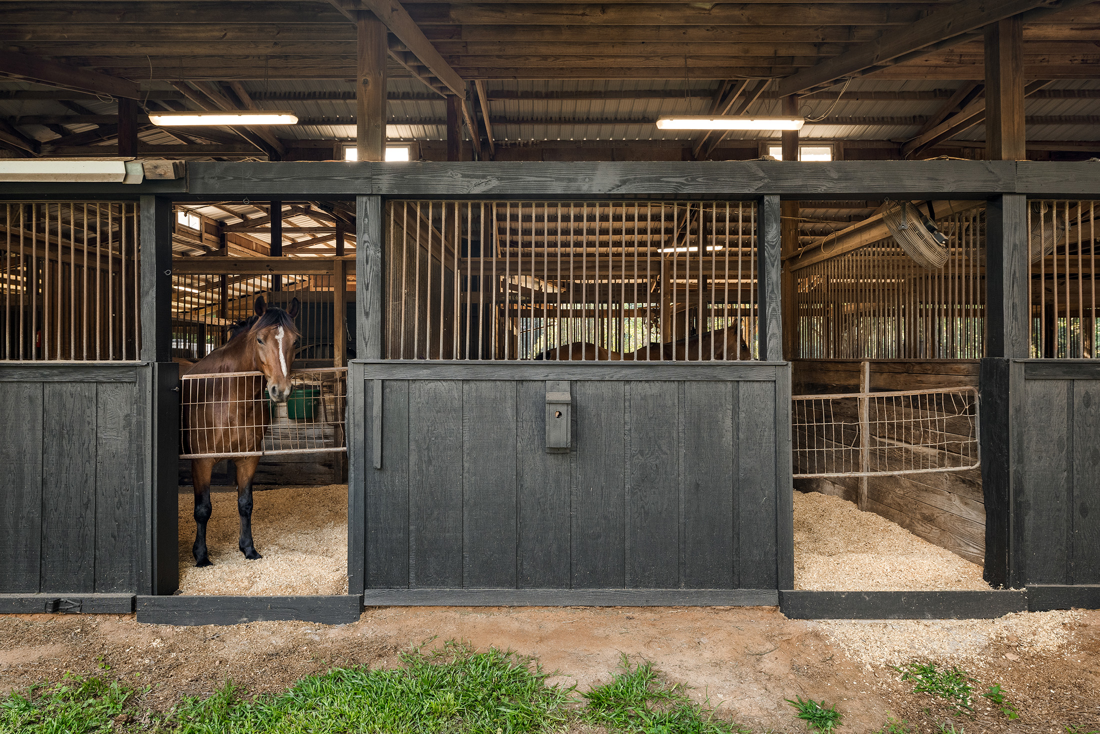  Rare Equestrian Facility with Prestigious Address - 物件實景