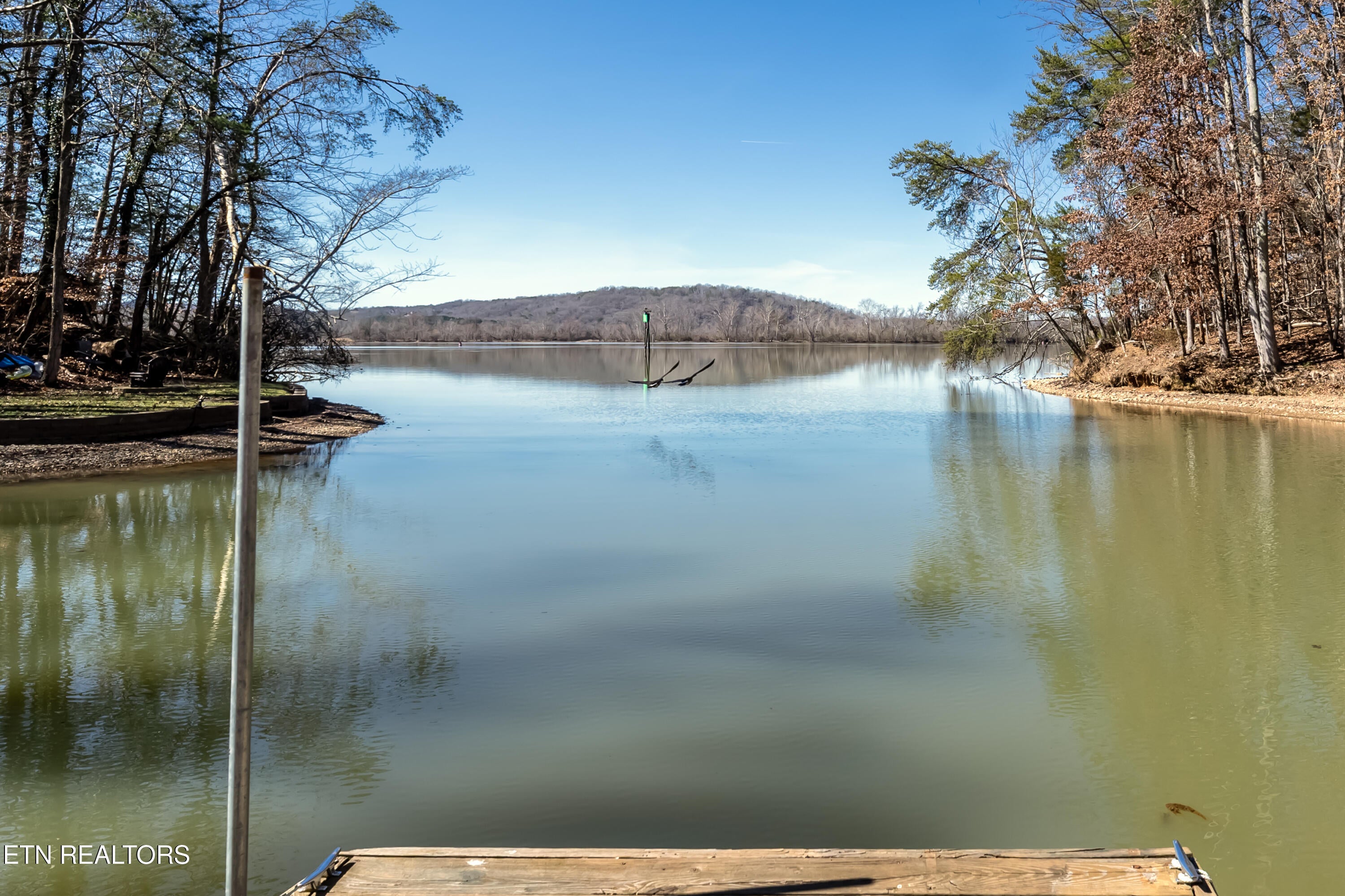 Kingston, Tennessee, 37763, United States, 4 Bedrooms Bedrooms, ,2 BathroomsBathrooms,Residential,For Sale,1850239