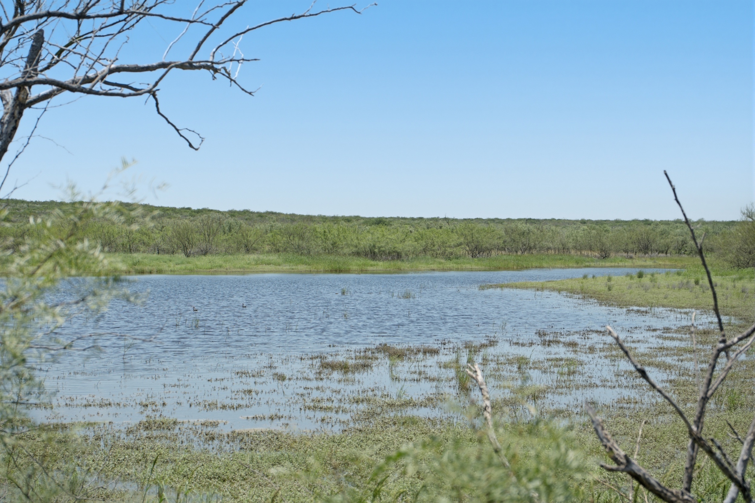 3,640+/- Acre Rosita Lake Ranch - 物件實景