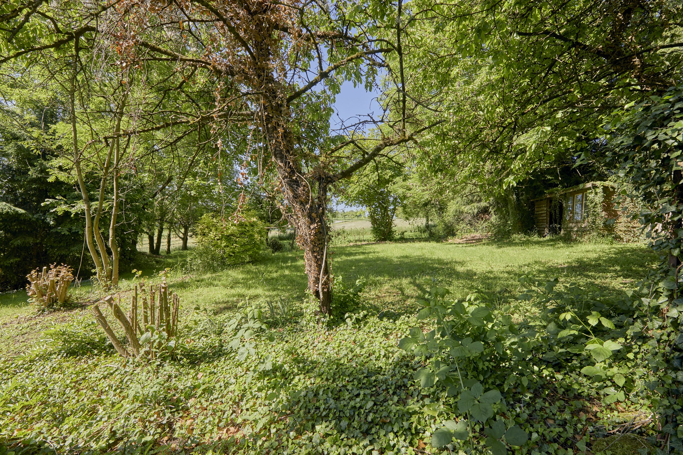  Domaine privé à Manternach - 物件實景