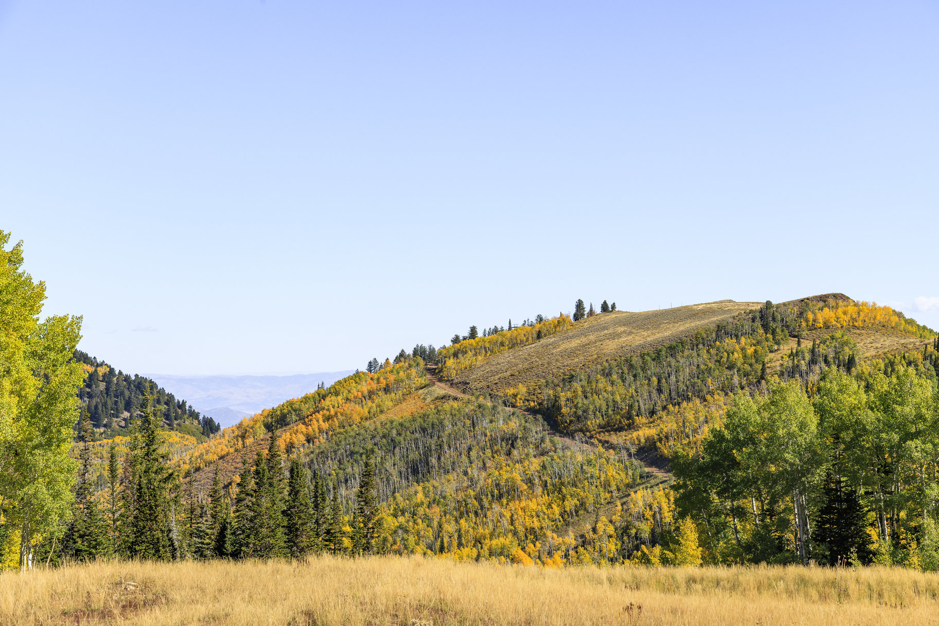  Incredible 28 Acre Estate Lot in the Colony at White Pine Canyon - 物件實景
