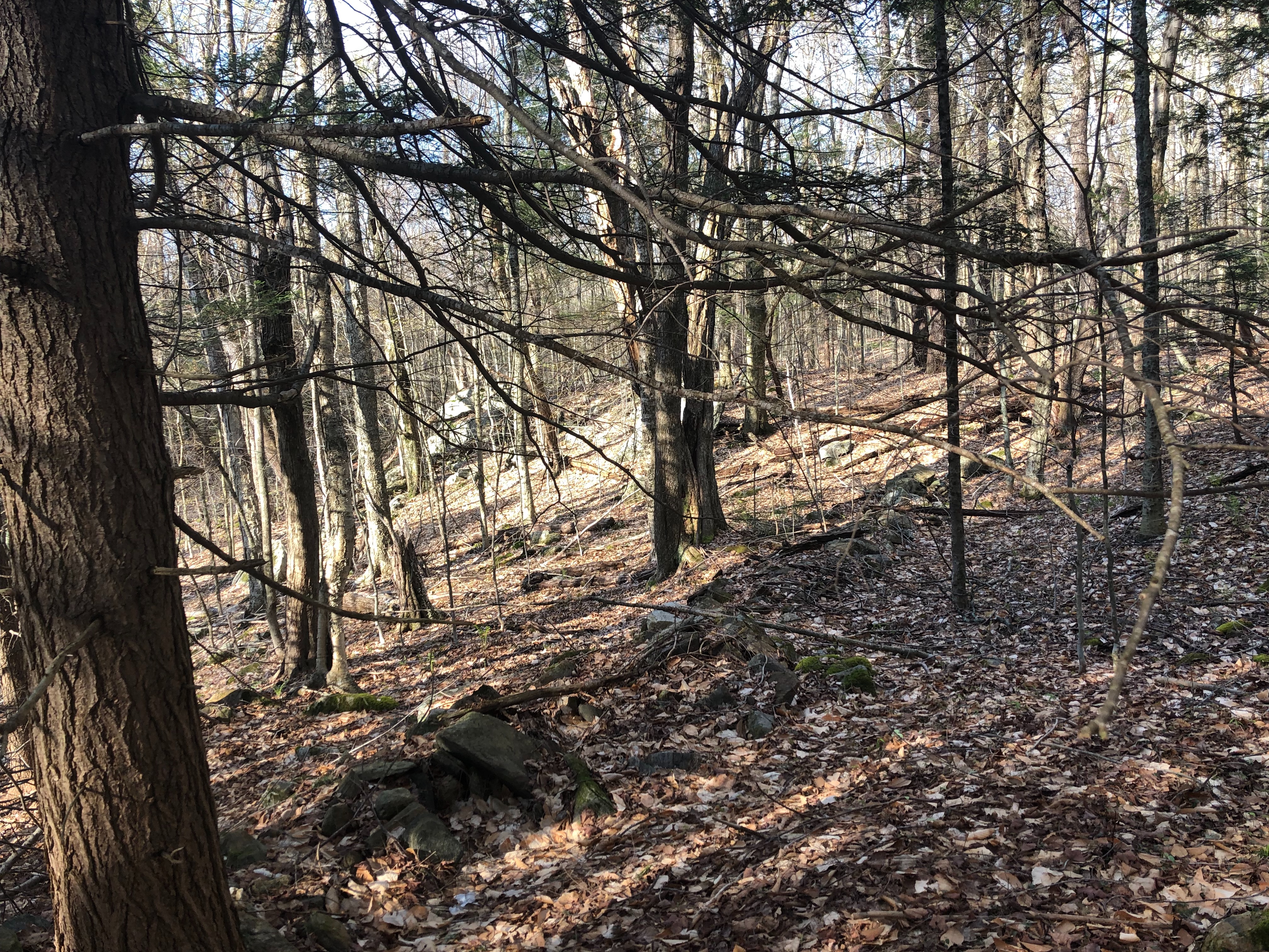  2.8 Acres on Quiet County Road in Otis - 物件實景