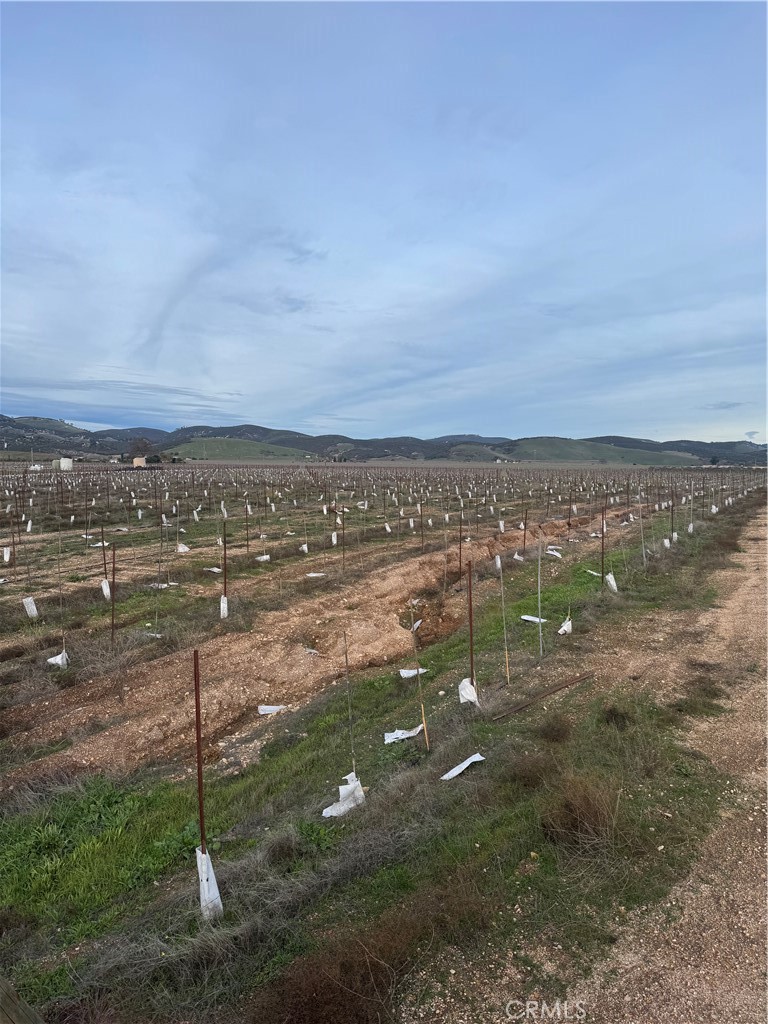 Lockwood, California, 93932, United States, ,Land,For Sale,2006086