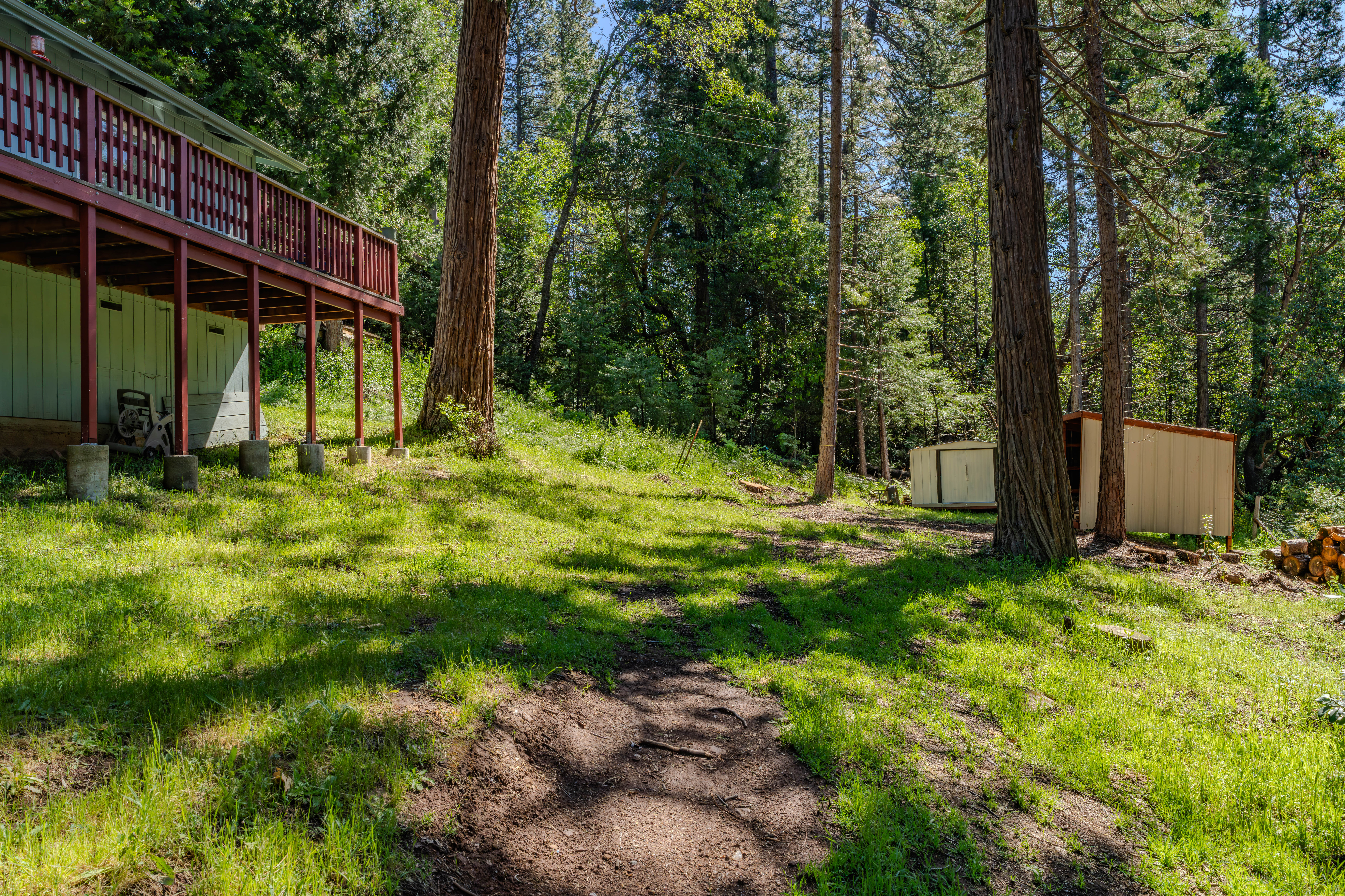  24317 Carson Drive, Pioneer, CA 95666 - 物件實景