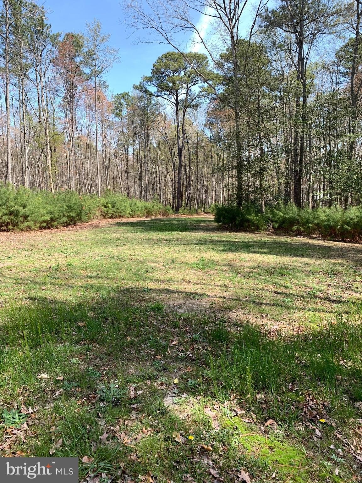 FRANKFORD, Delaware, 19945, United States, 3 Bedrooms Bedrooms, ,3 BathroomsBathrooms,Residential,For Sale,1979825