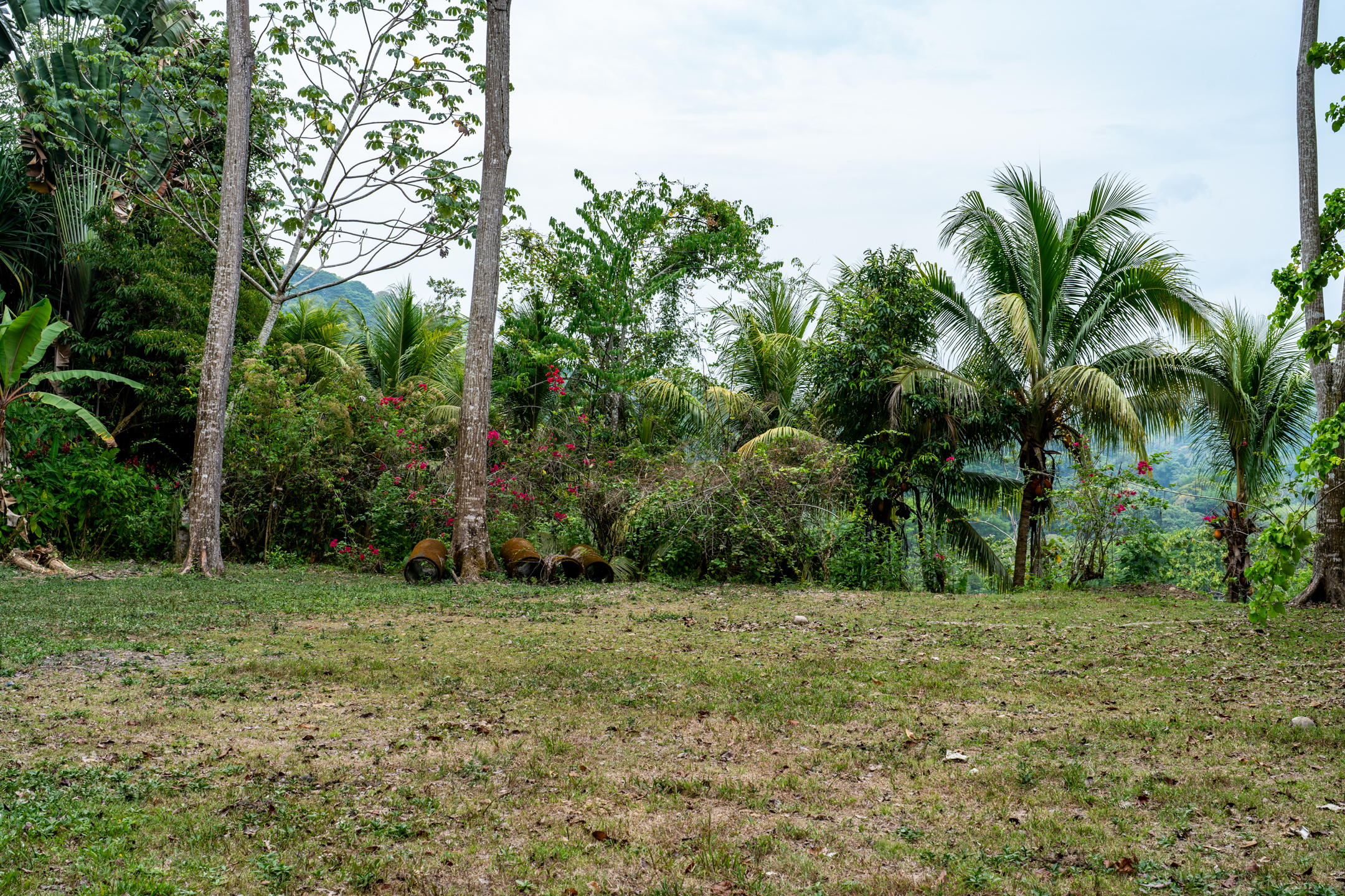 Lagunas, Dominical, Puntarenas, CR, 2 Bedrooms Bedrooms, ,1 BathroomBathrooms,Land,For Sale,Lagunas,1589118