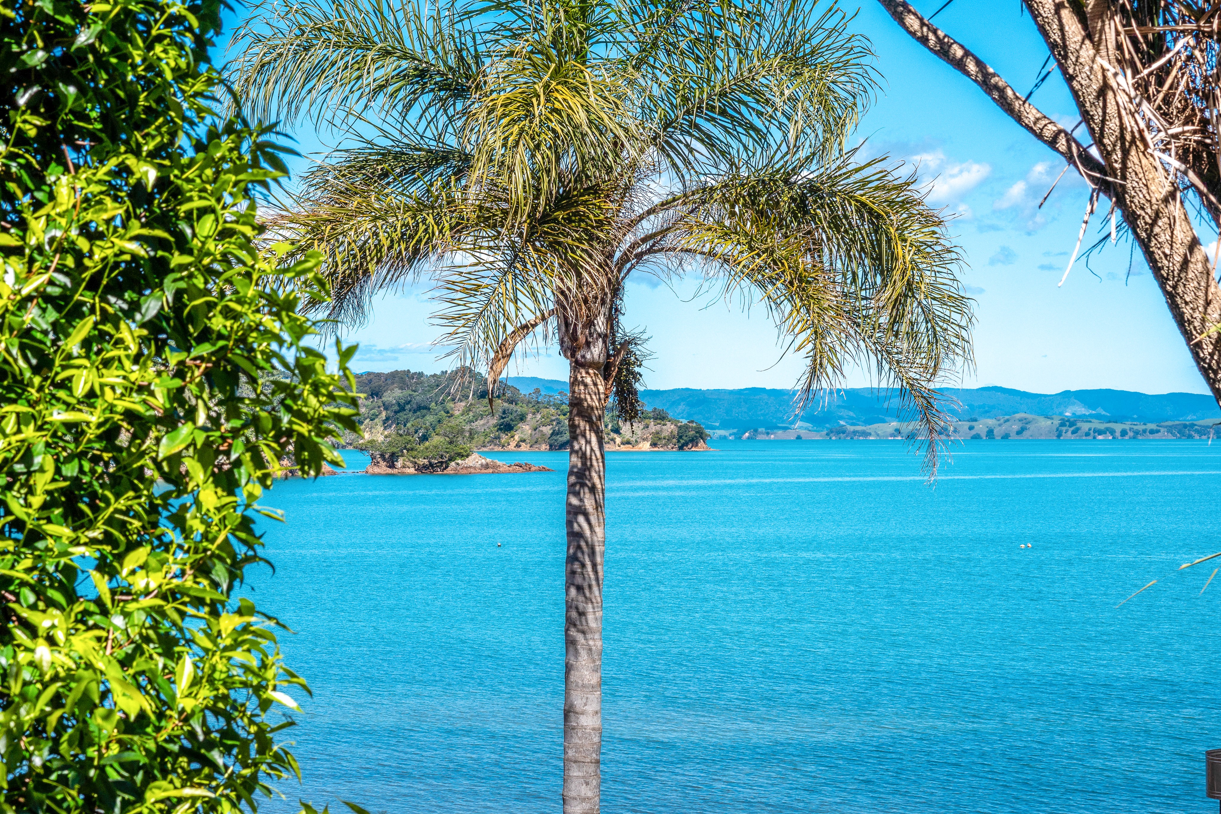  30-32 Wairua Road, Waiheke Island - 物件實景