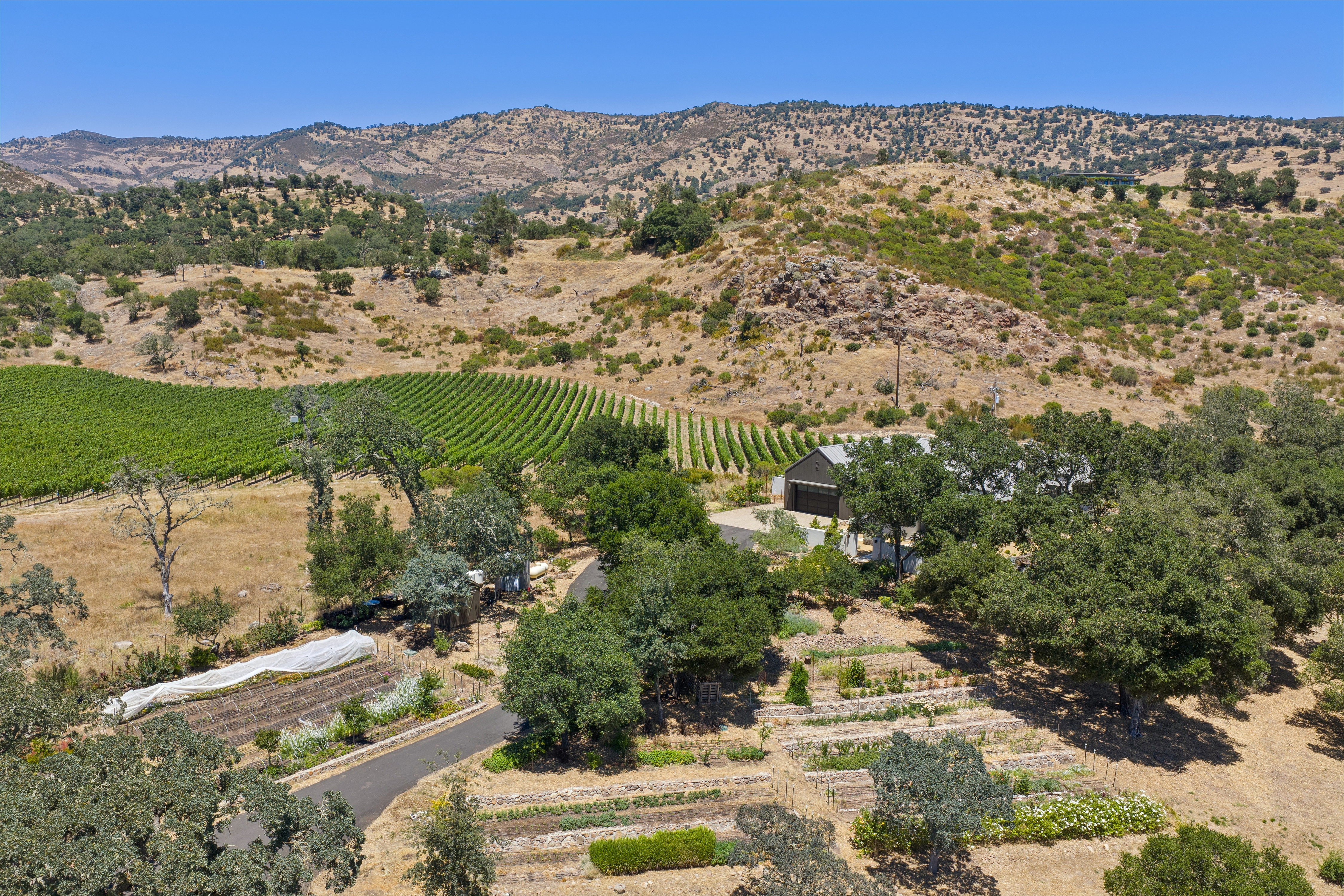  Refined Wine Country Estate - 物件實景