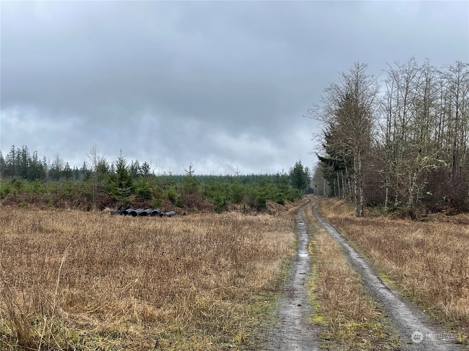 1 Xx Oppelt Road, Onalaska, Washington, 98570, United States, ,Land,For Sale,1 Xx Oppelt Road,1446946