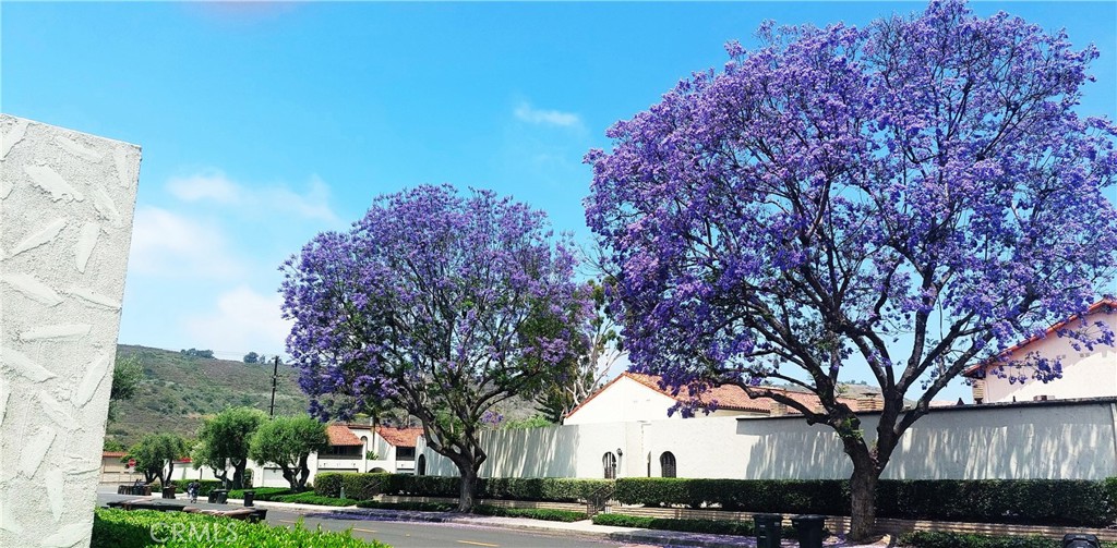 San Juan Capistrano, California, 92675, United States, 2 Bedrooms Bedrooms, ,1 BathroomBathrooms,Residential,For Sale,1857634