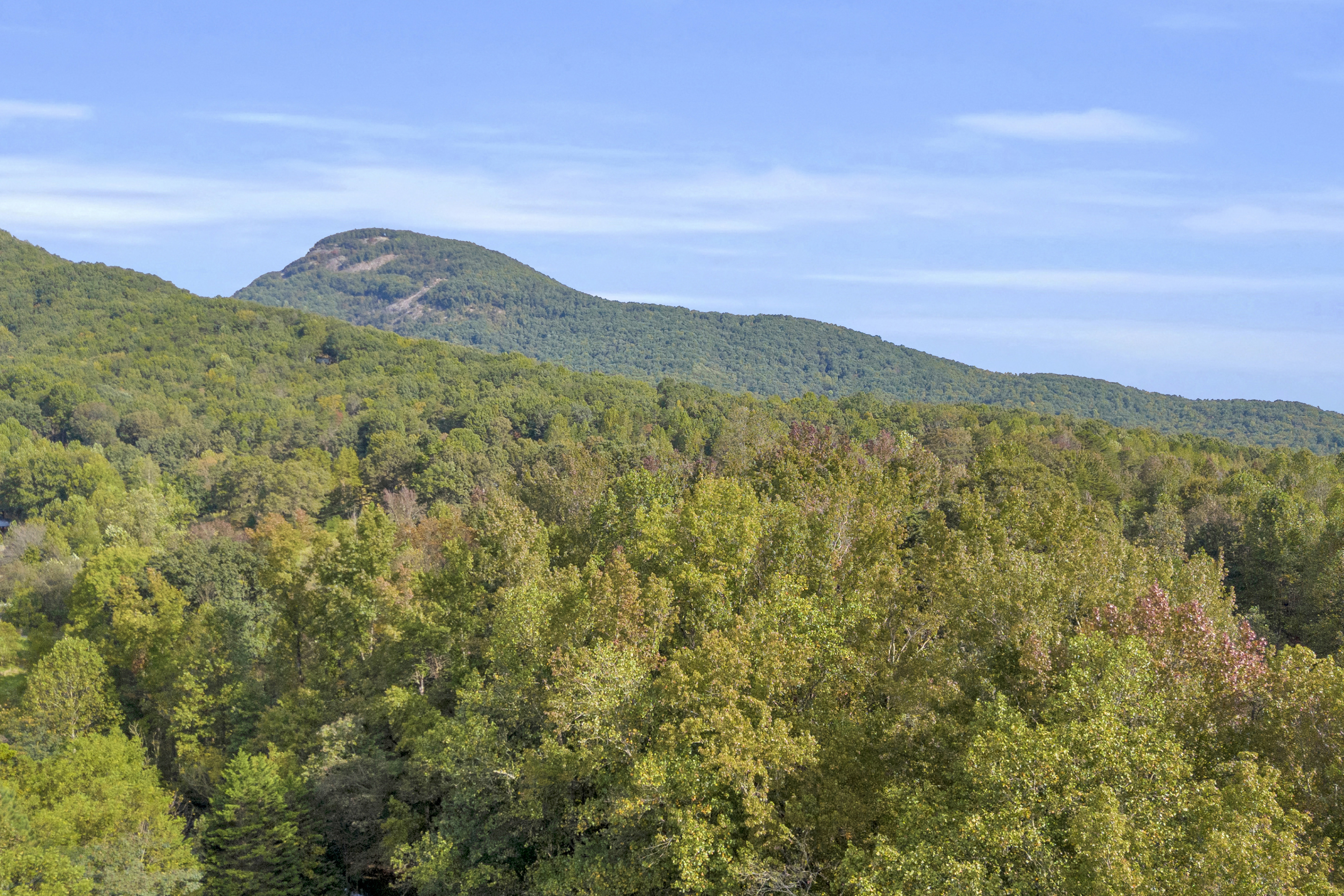 Cleveland, Georgia, 30528, United States, 3 Bedrooms Bedrooms, ,2 BathroomsBathrooms,Residential,For Sale,1979350