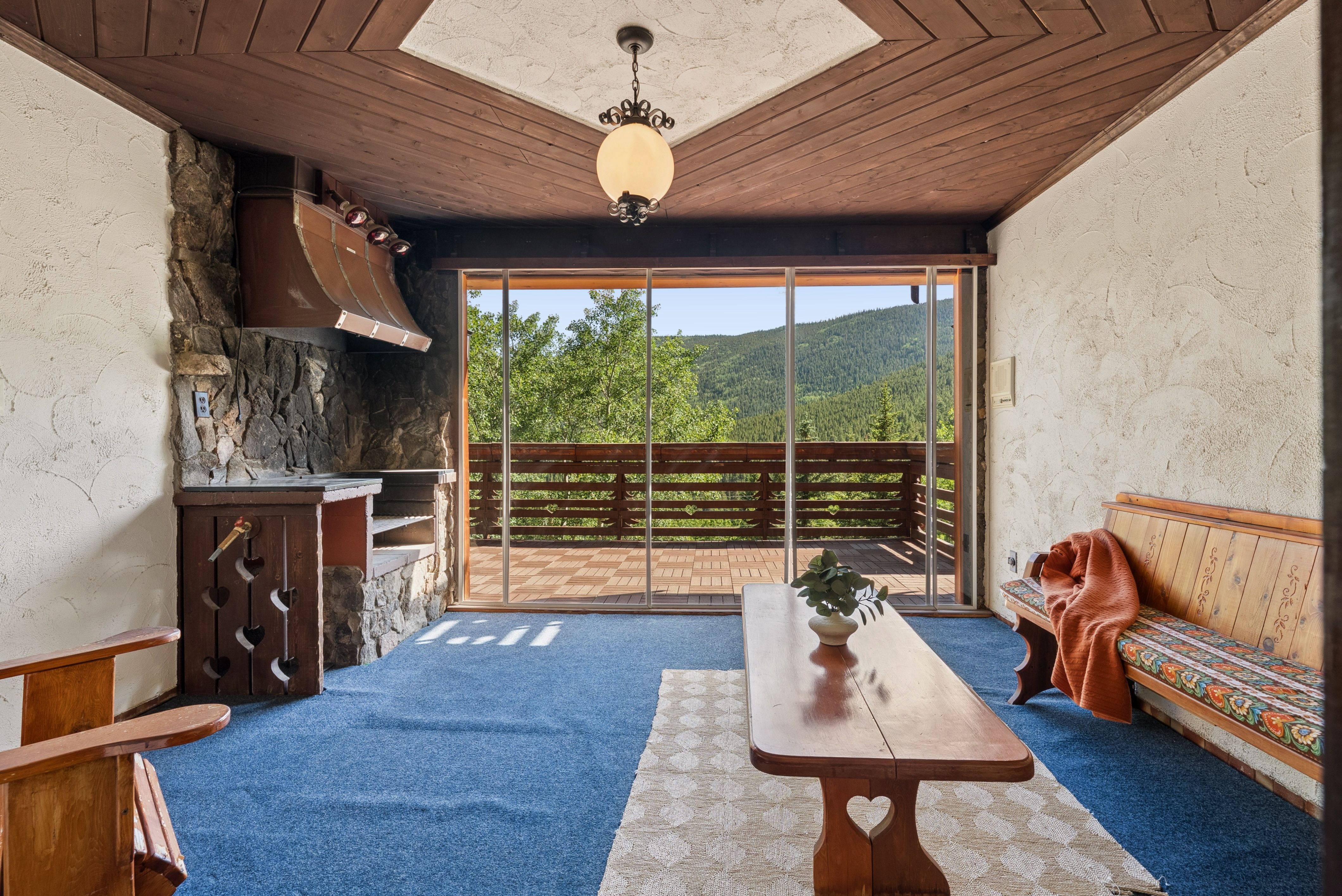  Mountain Chalet on Almost 8 Acres - 物件實景