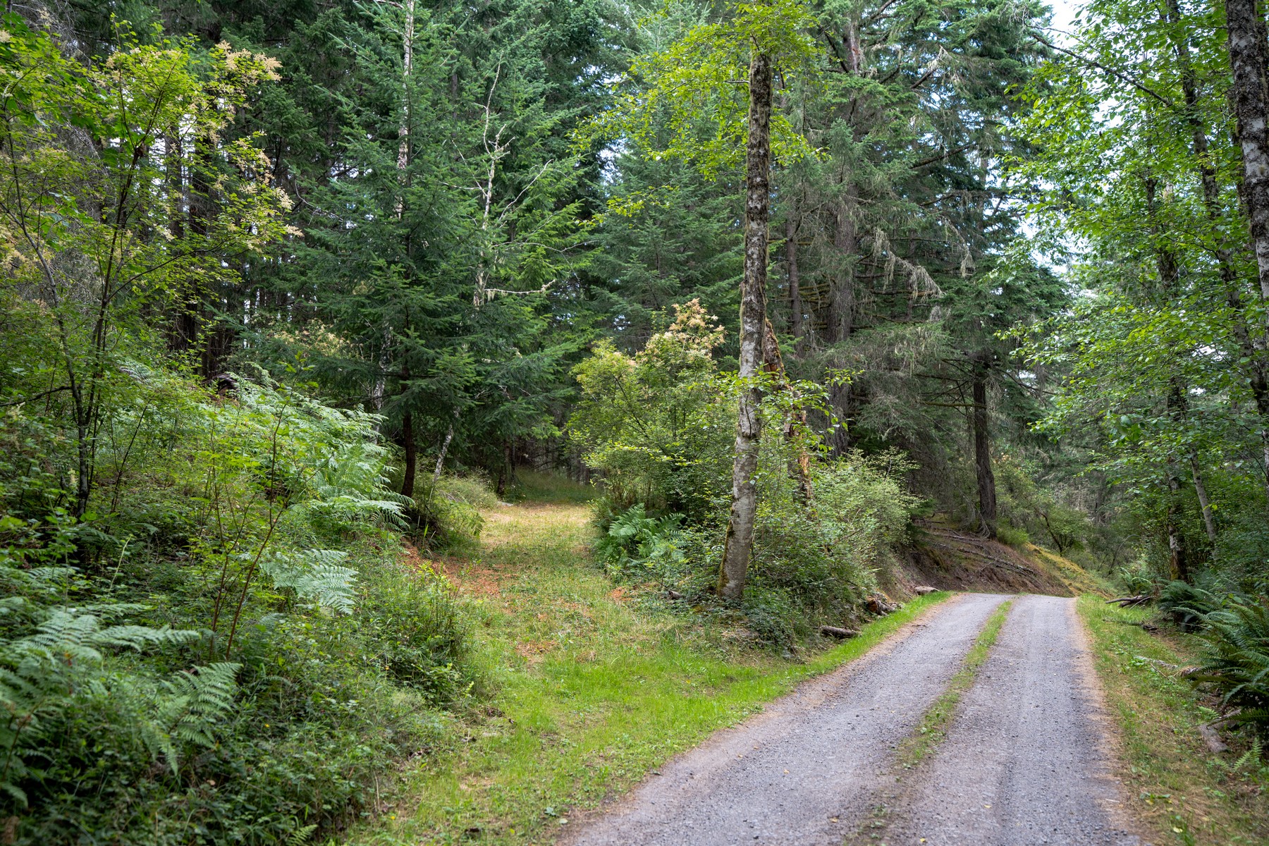  Hilltop Forest Retreat - 物件實景