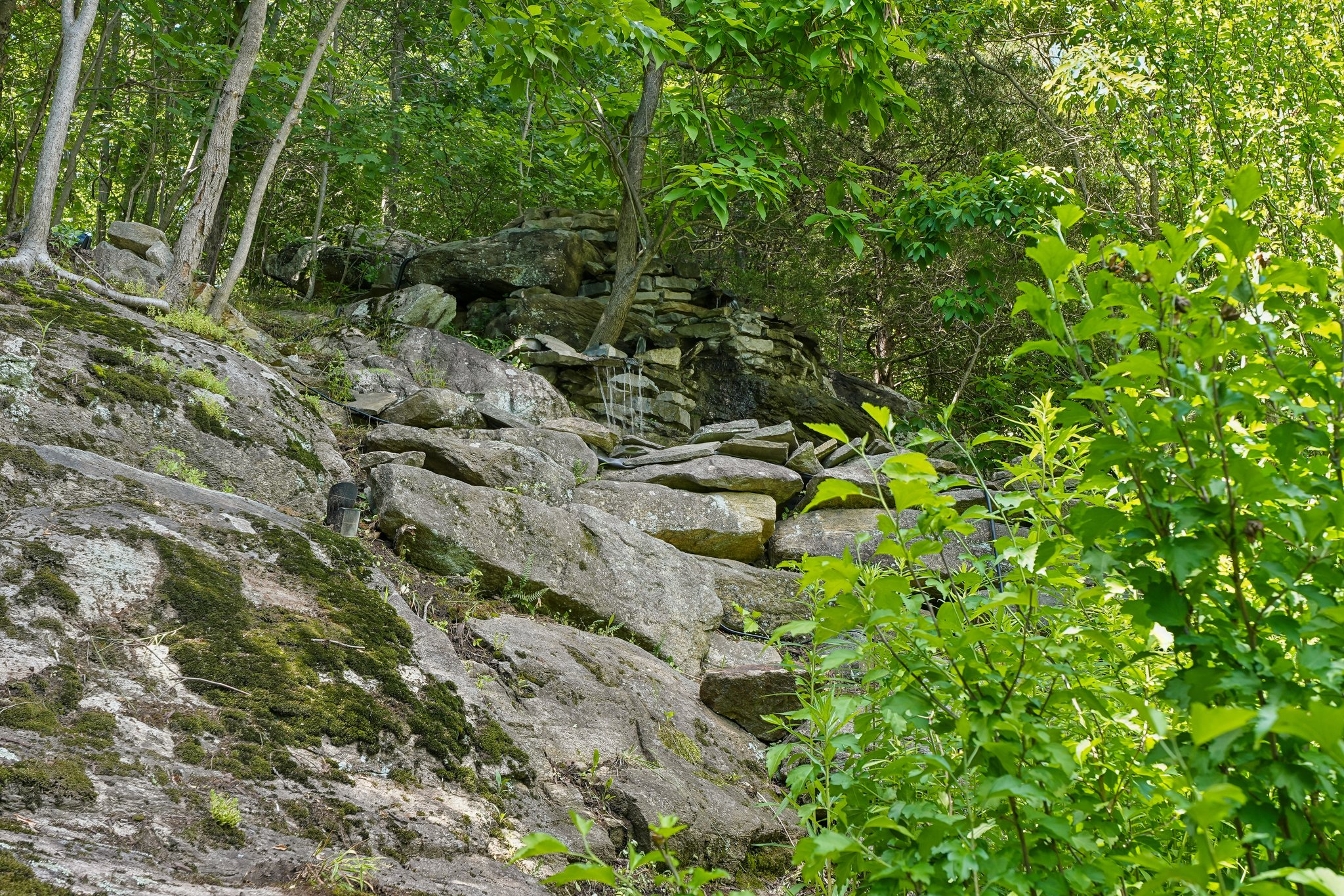  117 Green Pond Road, Rockaway, NJ 07866 - 物件實景