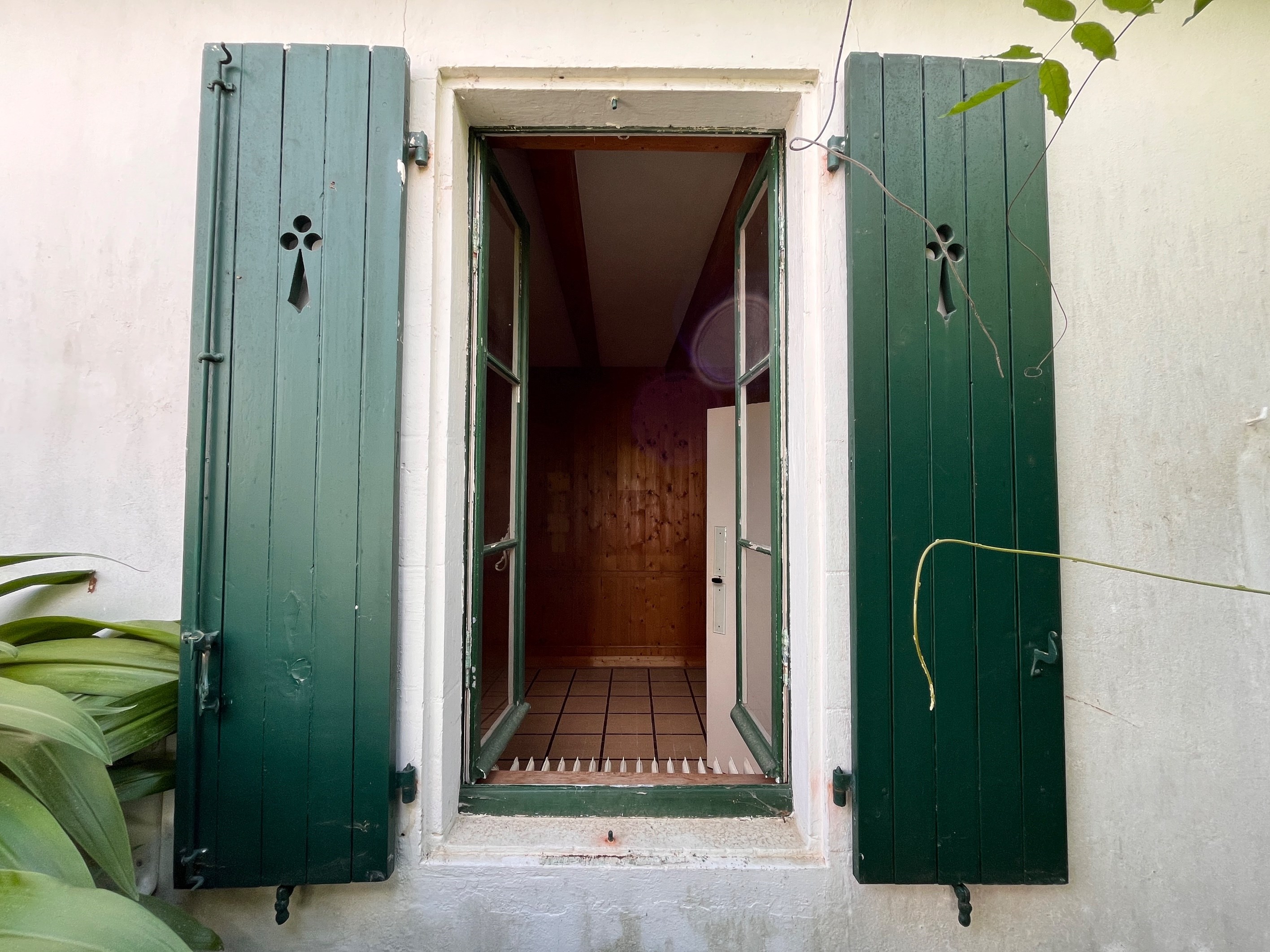  Maison - 物件實景