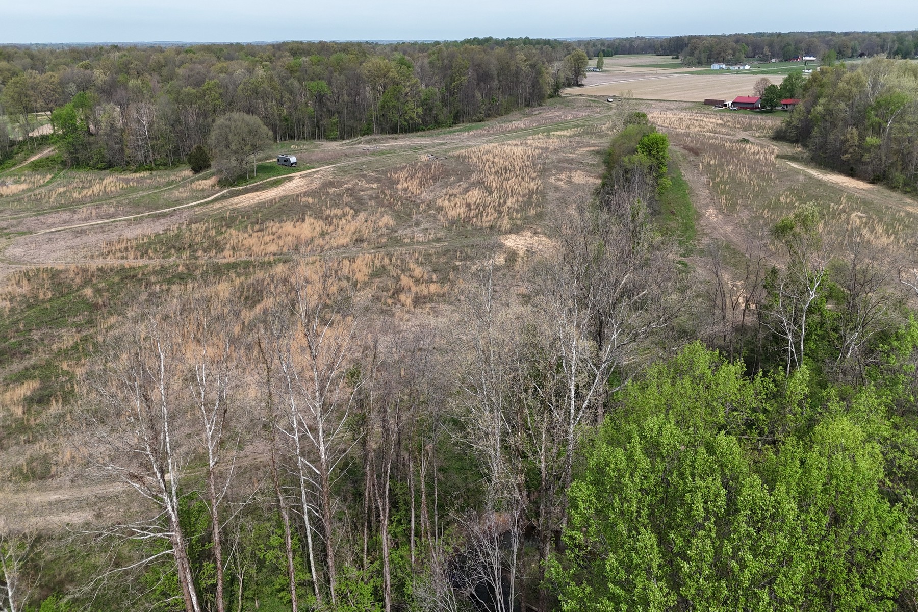  Expansive 56 Acre Property Ready For Your Dream Home - 物件實景