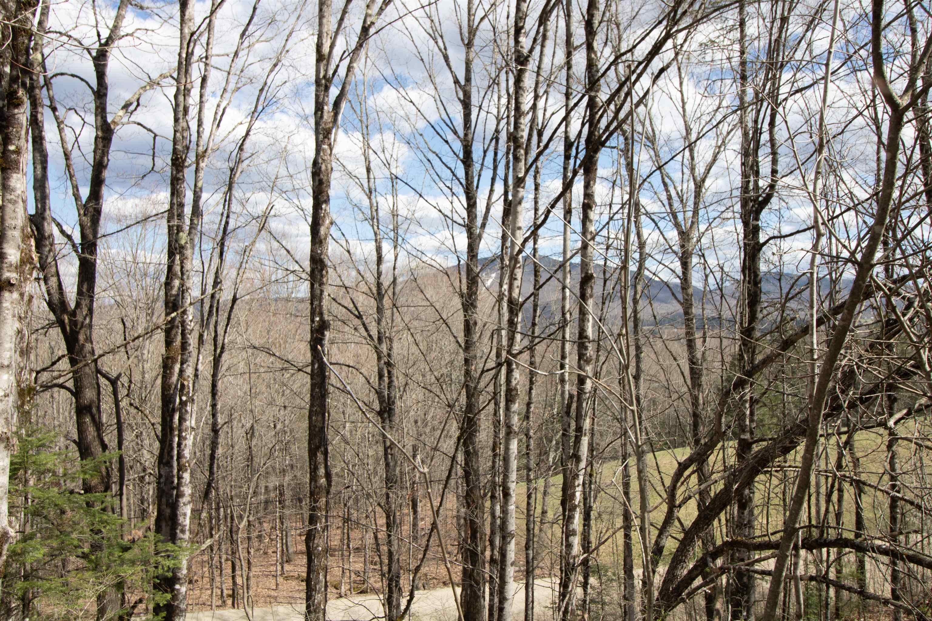 Burke, Vermont, 05832, United States, ,Land,For Sale,2041867