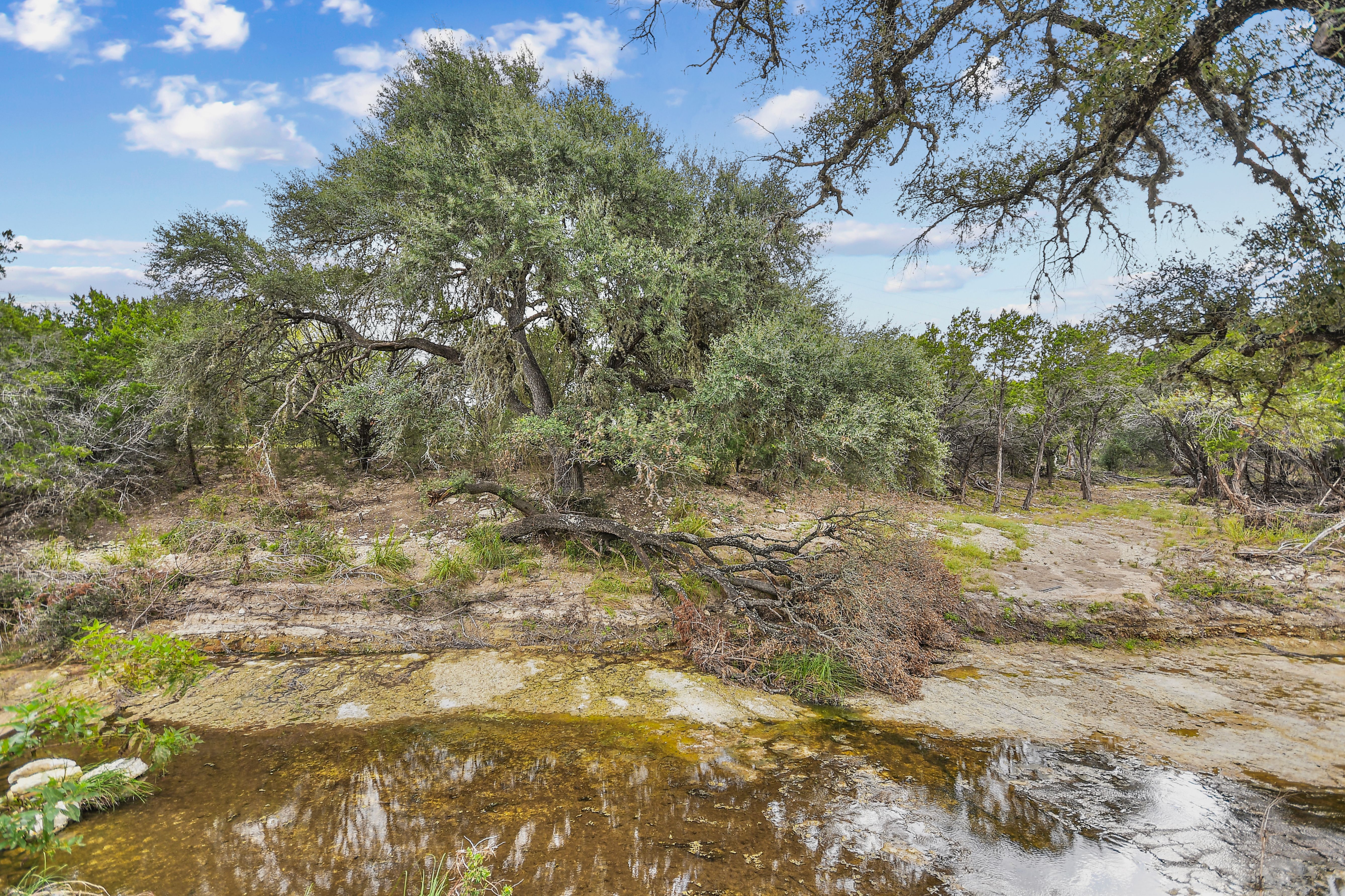  TBD Hwy 46 / Madrona Ranch Road, Pipe Creek, TX 78063 - 物件實景