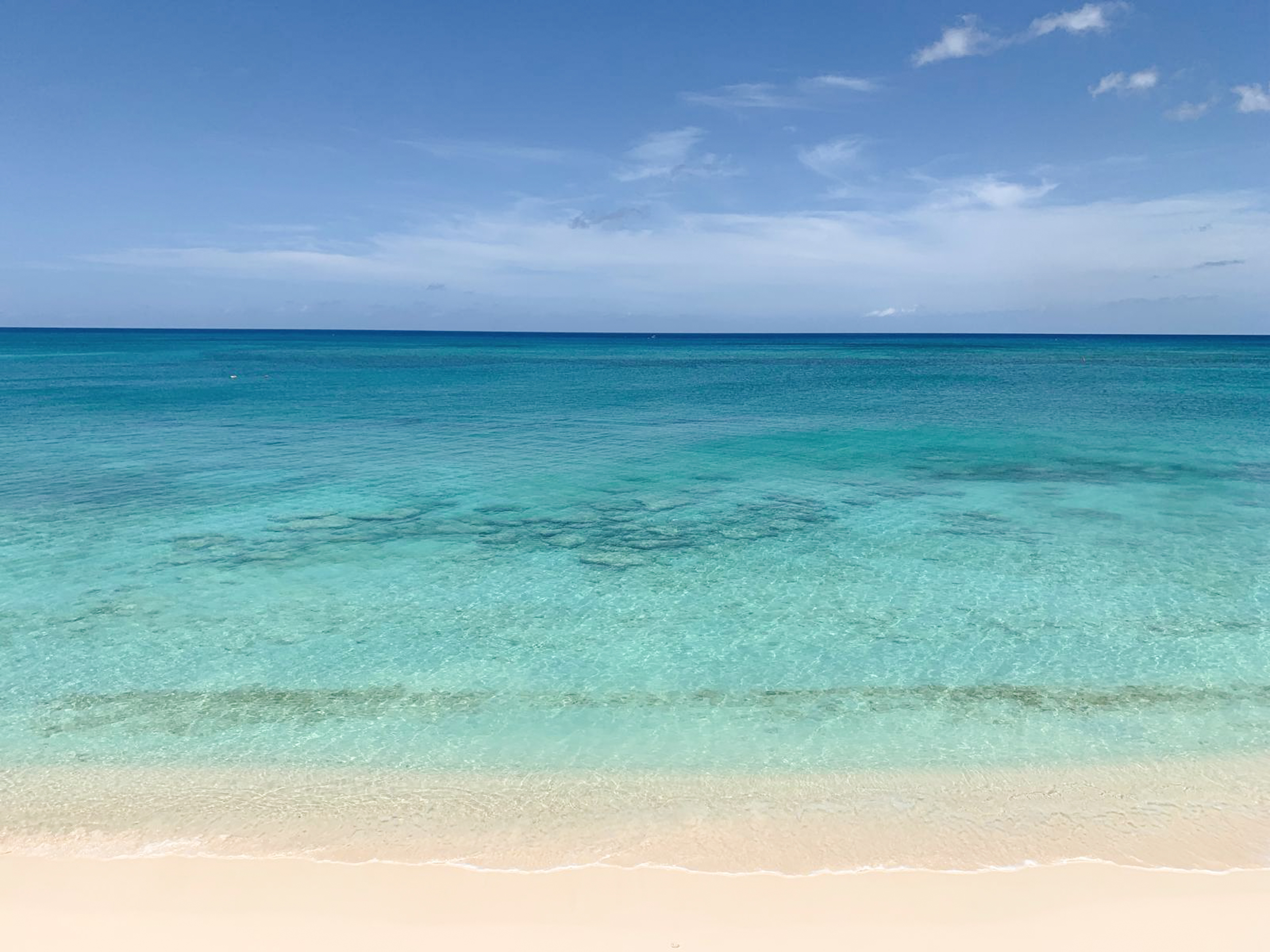  Cayman Reef Resort Beachfront - 物件實景