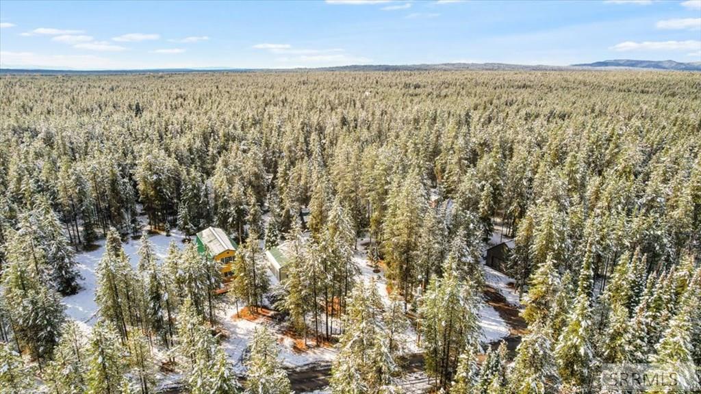 ISLAND PARK, Idaho, 83429, United States, 2 Bedrooms Bedrooms, ,2 BathroomsBathrooms,Residential,For Sale,1979028