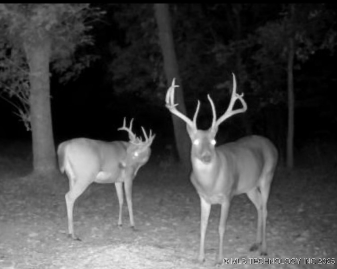 Mounds, Oklahoma, 74047, United States, 4 Bedrooms Bedrooms, ,6 BathroomsBathrooms,Residential,For Sale,1960960