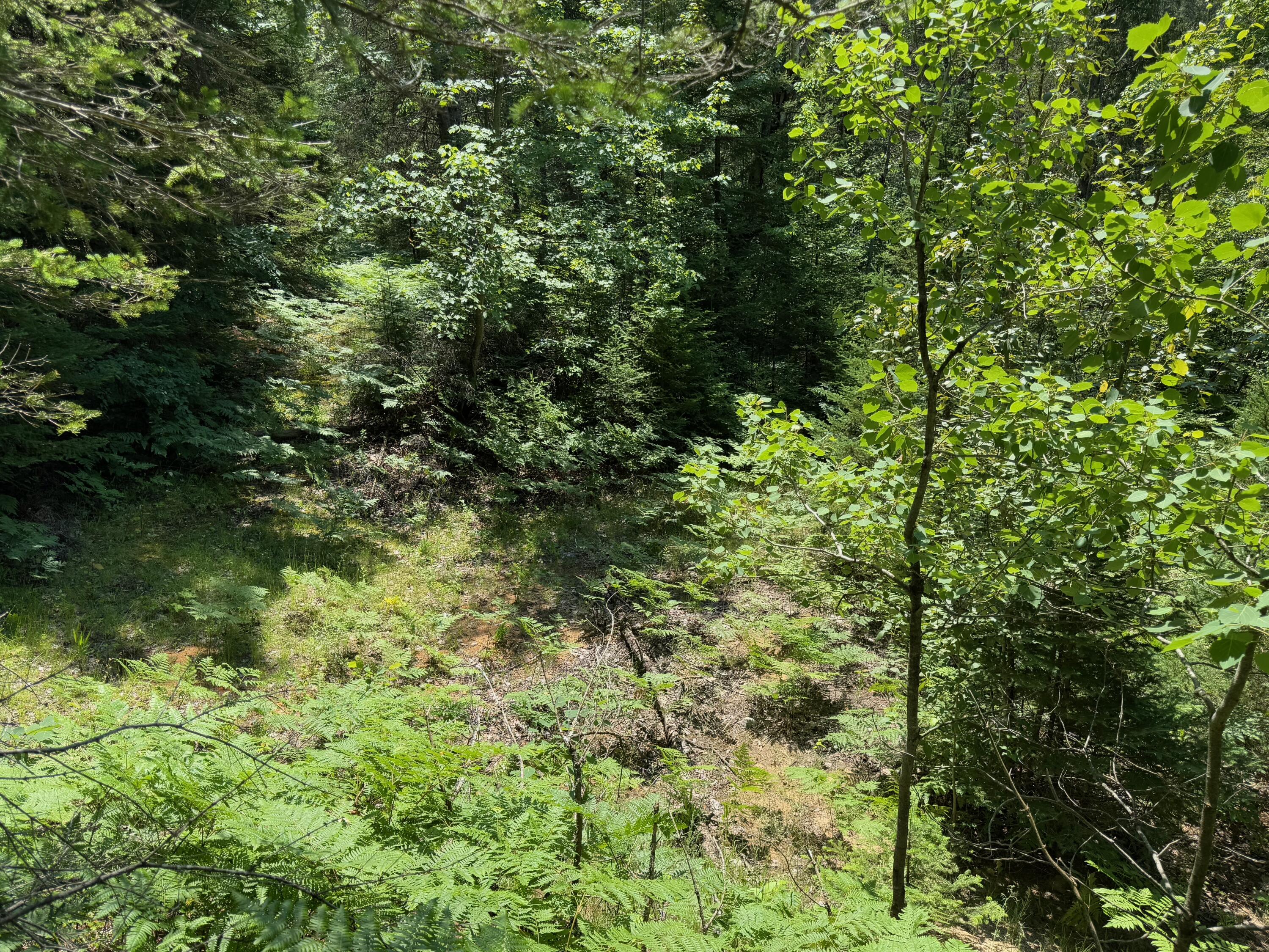 Wolverine, Michigan, 49799, United States, 2 Bedrooms Bedrooms, ,2 BathroomsBathrooms,Residential,For Sale,1885505