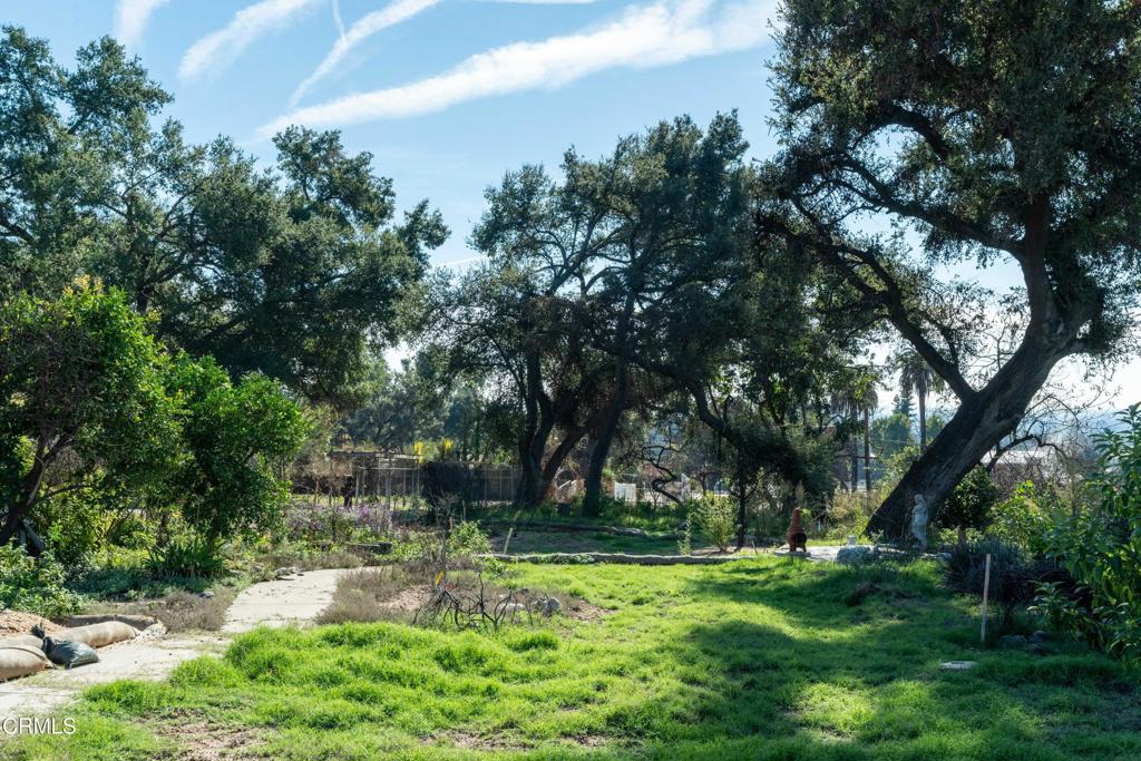 Altadena, California, 91001, United States, ,Land,For Sale,2000567