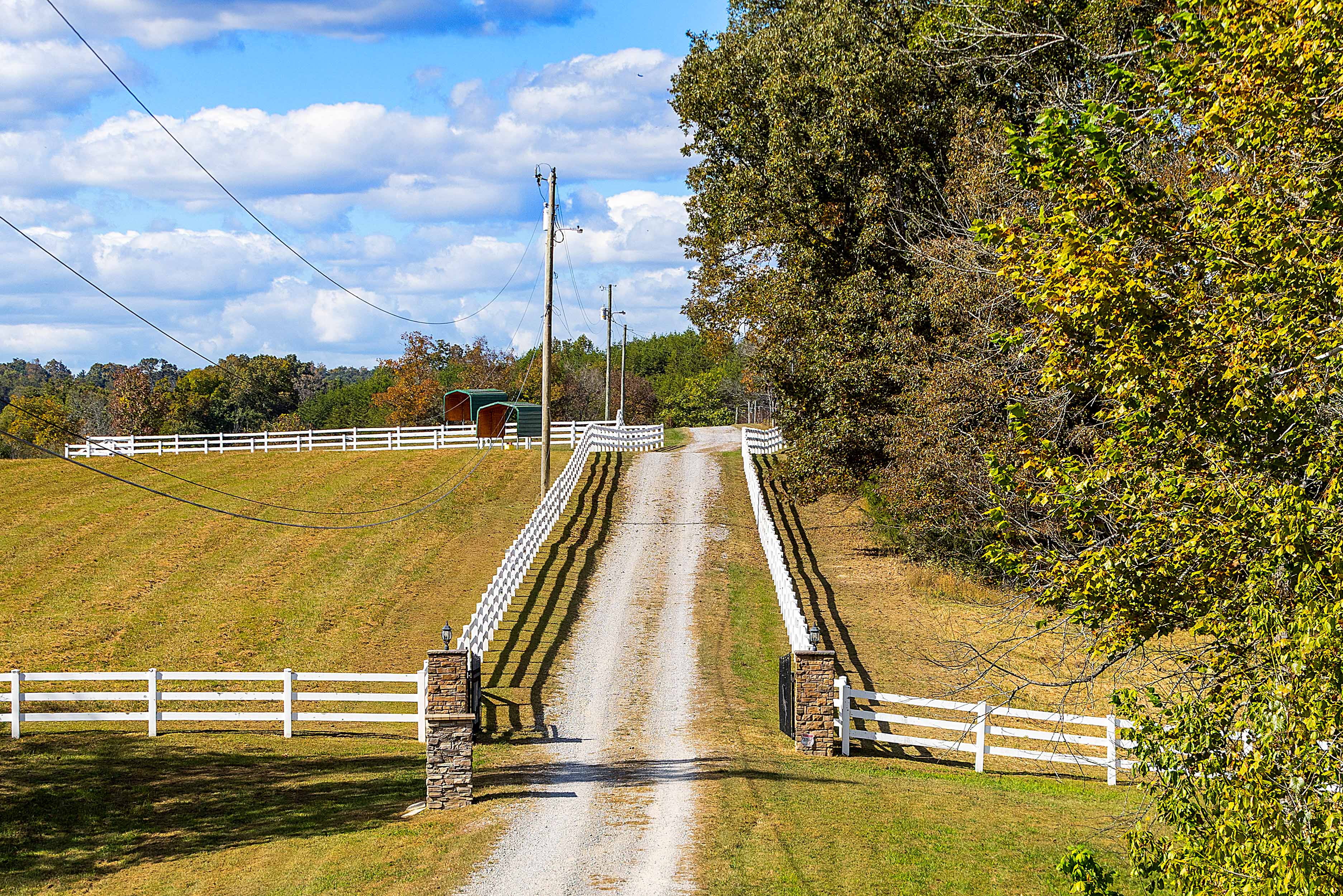  2003 Reagan Mill Road, Maryville, TN 37803 - 物件實景