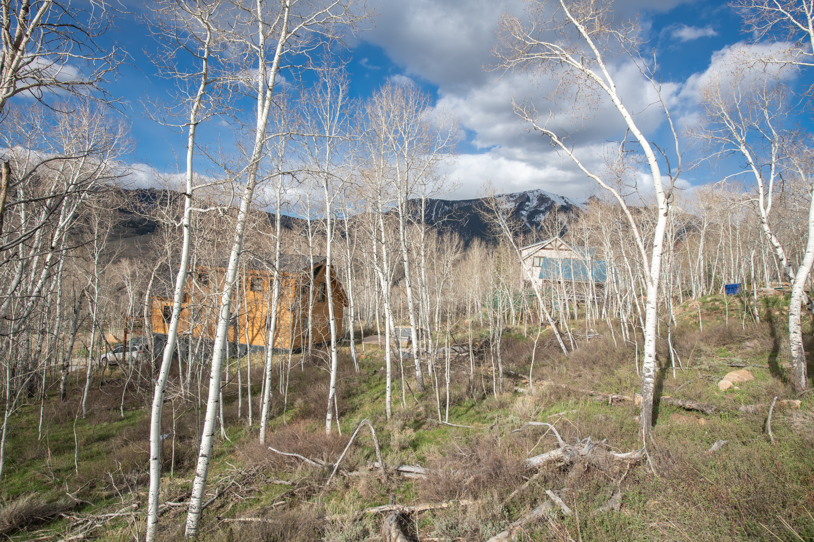 Quality Building Site in Crested Butte South - 物件實景