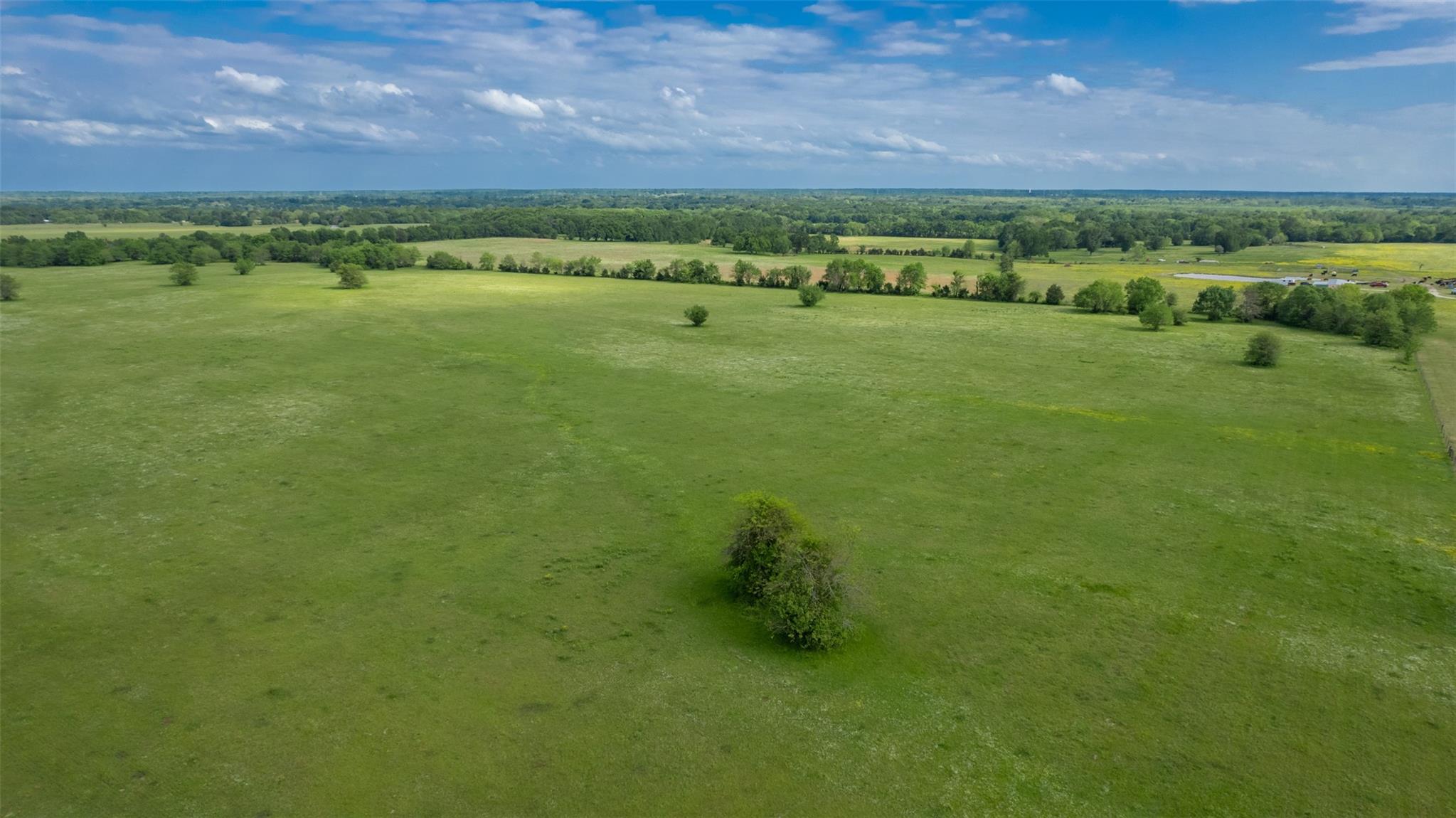 Commerce, Texas, 75428, United States, ,Residential,For Sale,1810631