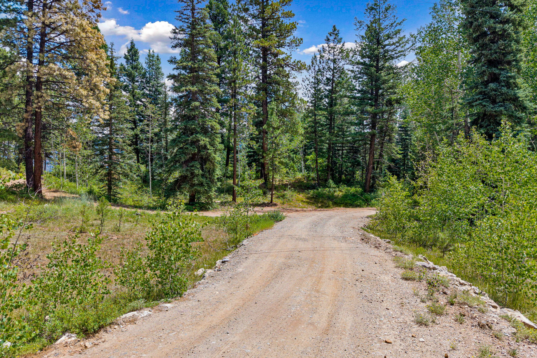  TBD East Spruce Mesa Drive, Durango, CO 81301 - 物件實景