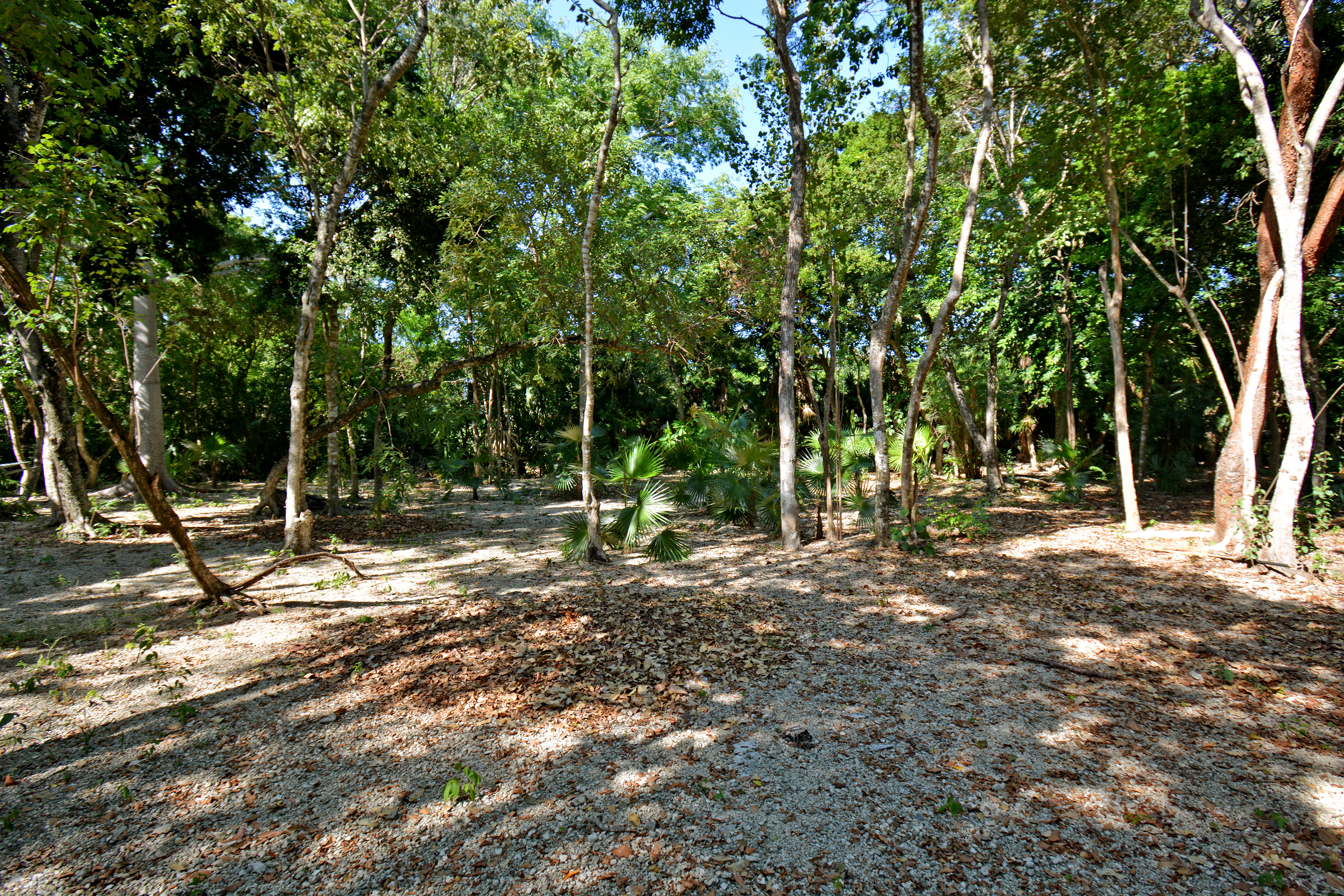  RESIDENTIAL LOT - 物件實景