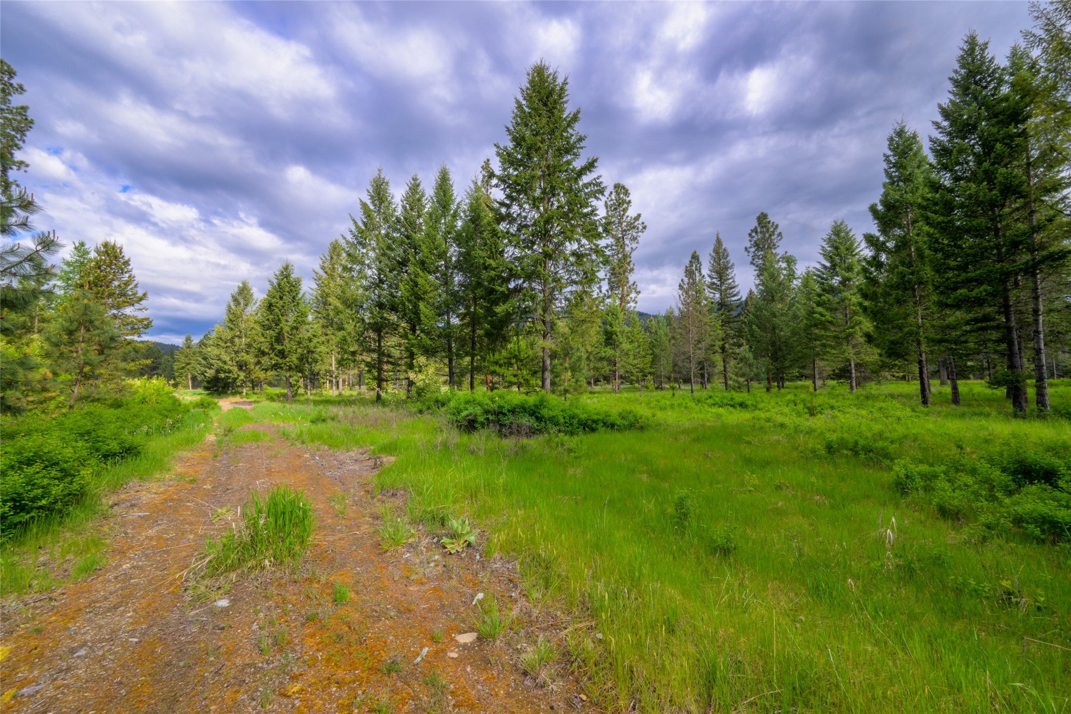 St Regis, Montana, 59866, United States, ,Land,For Sale,1848990