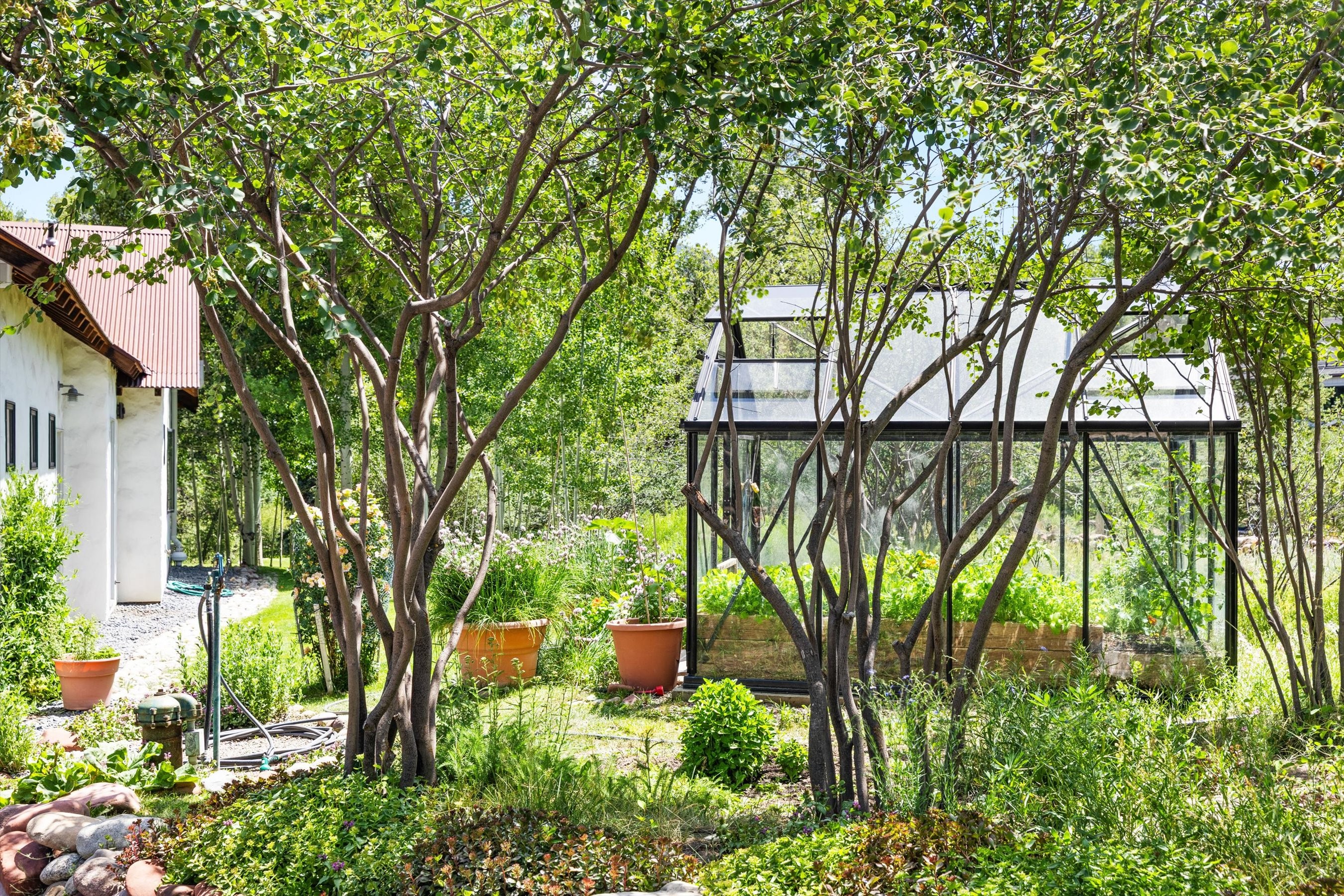  256 Twining Flats Road, Aspen, CO, 81611 - 物件實景