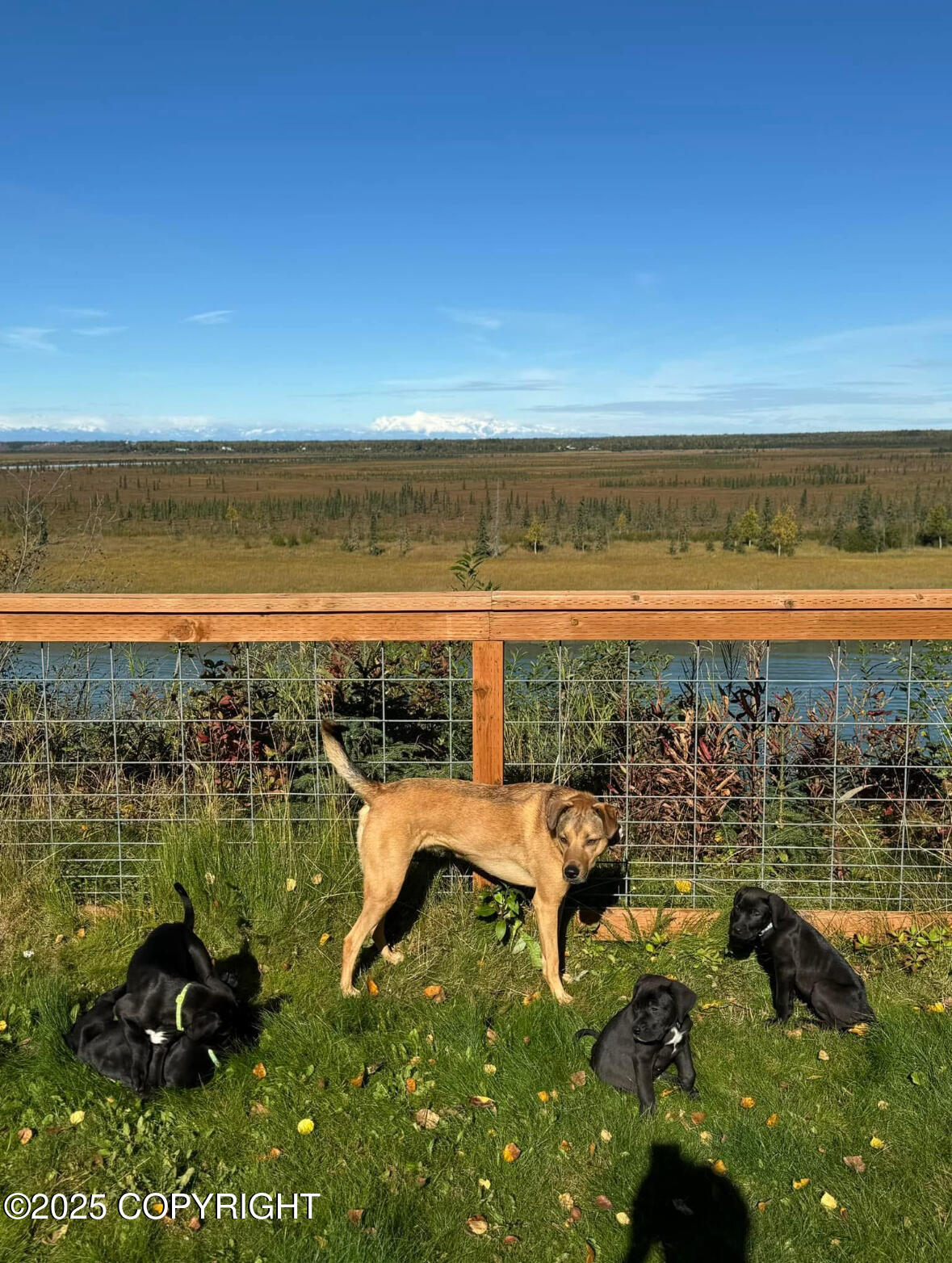 Kenai, Alaska, 99611, United States, 4 Bedrooms Bedrooms, ,3 BathroomsBathrooms,Residential,For Sale,2001523