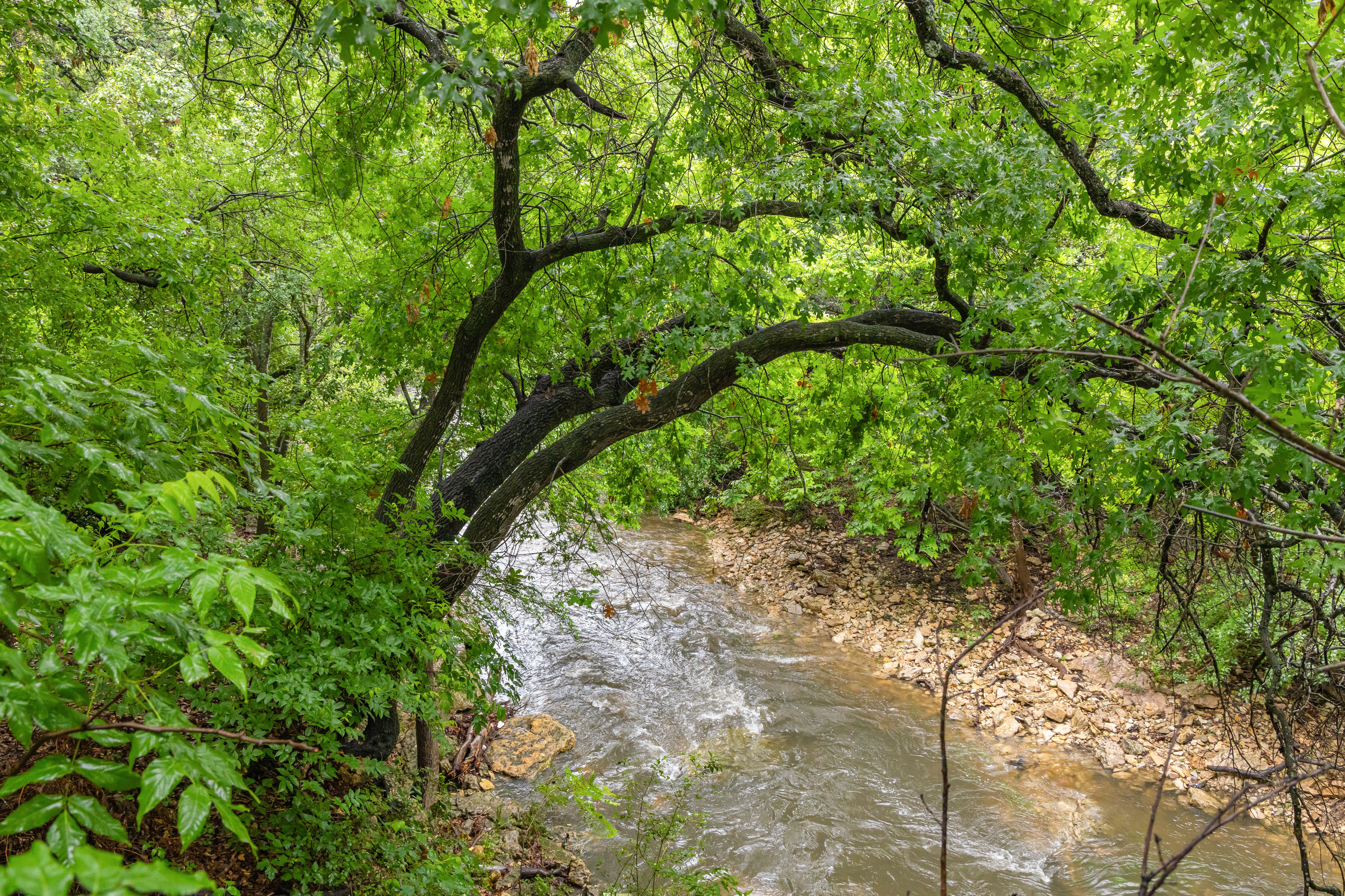  Sprawling Shoal Creek Retreat with Rare Privacy in Central Austin - 物件實景
