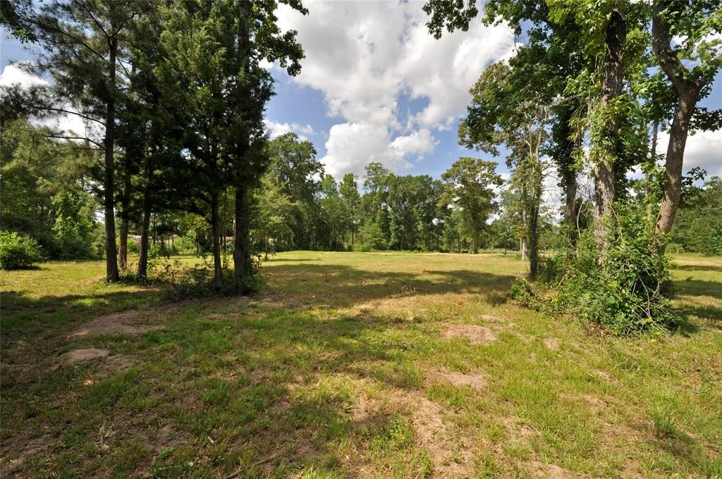 26150 Grand Pines Road, Magnolia, Texas, 77355, United States, ,Land,For Sale,26150 Grand Pines Road,1609479