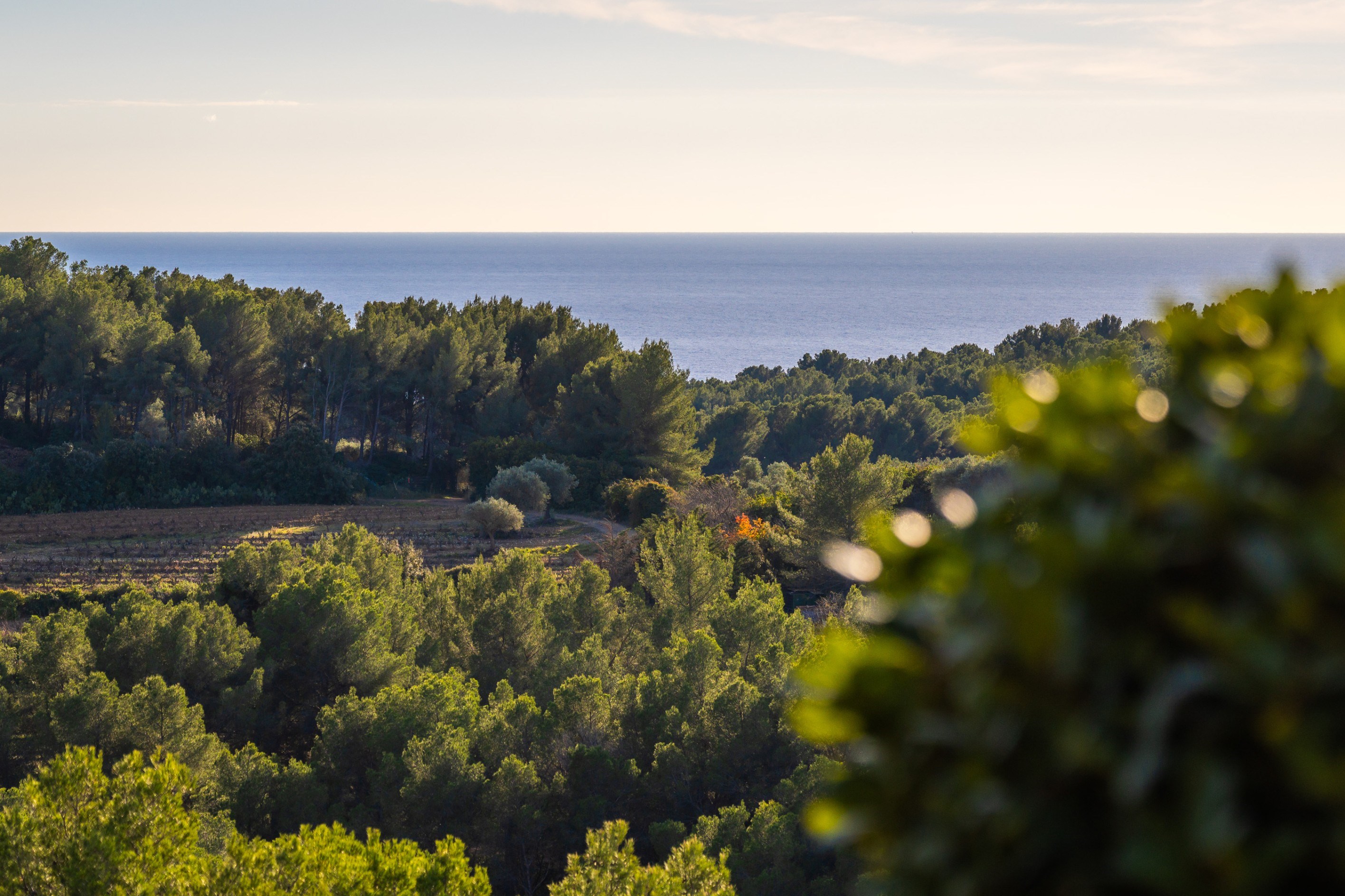  Saint-Cyr-sur-Mer, Frégate Golf Course – Single-Storey Sea-View Villa - 物件實景