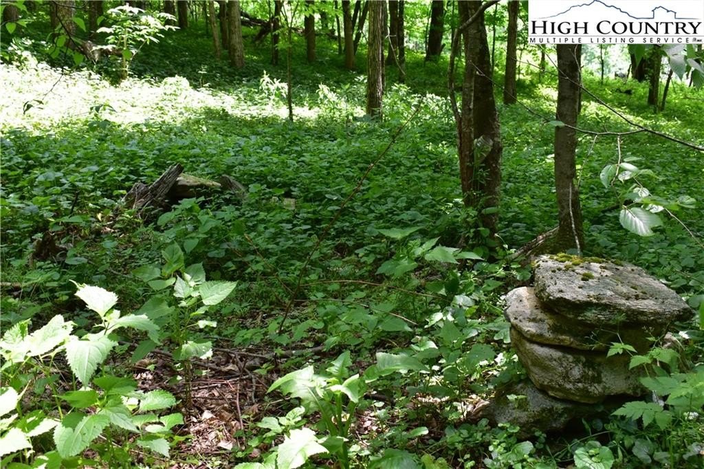 Warrensville, North Carolina, 28693, United States, ,Land,For Sale,1984173