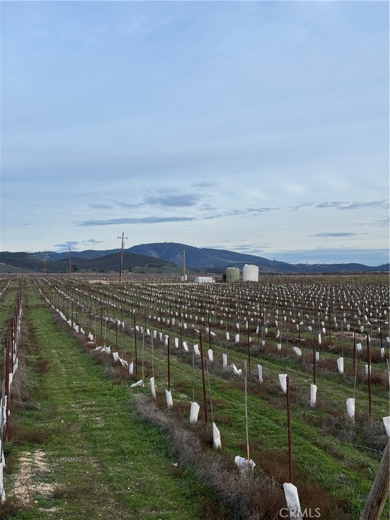 Lockwood, California, 93932, United States, ,Land,For Sale,2006086