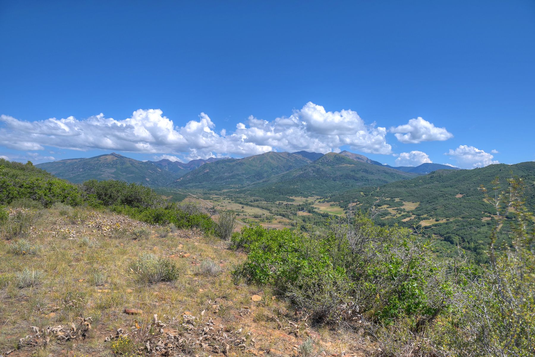  TBD Cross Creek Road, Hesperus, CO 81326 - 物件實景