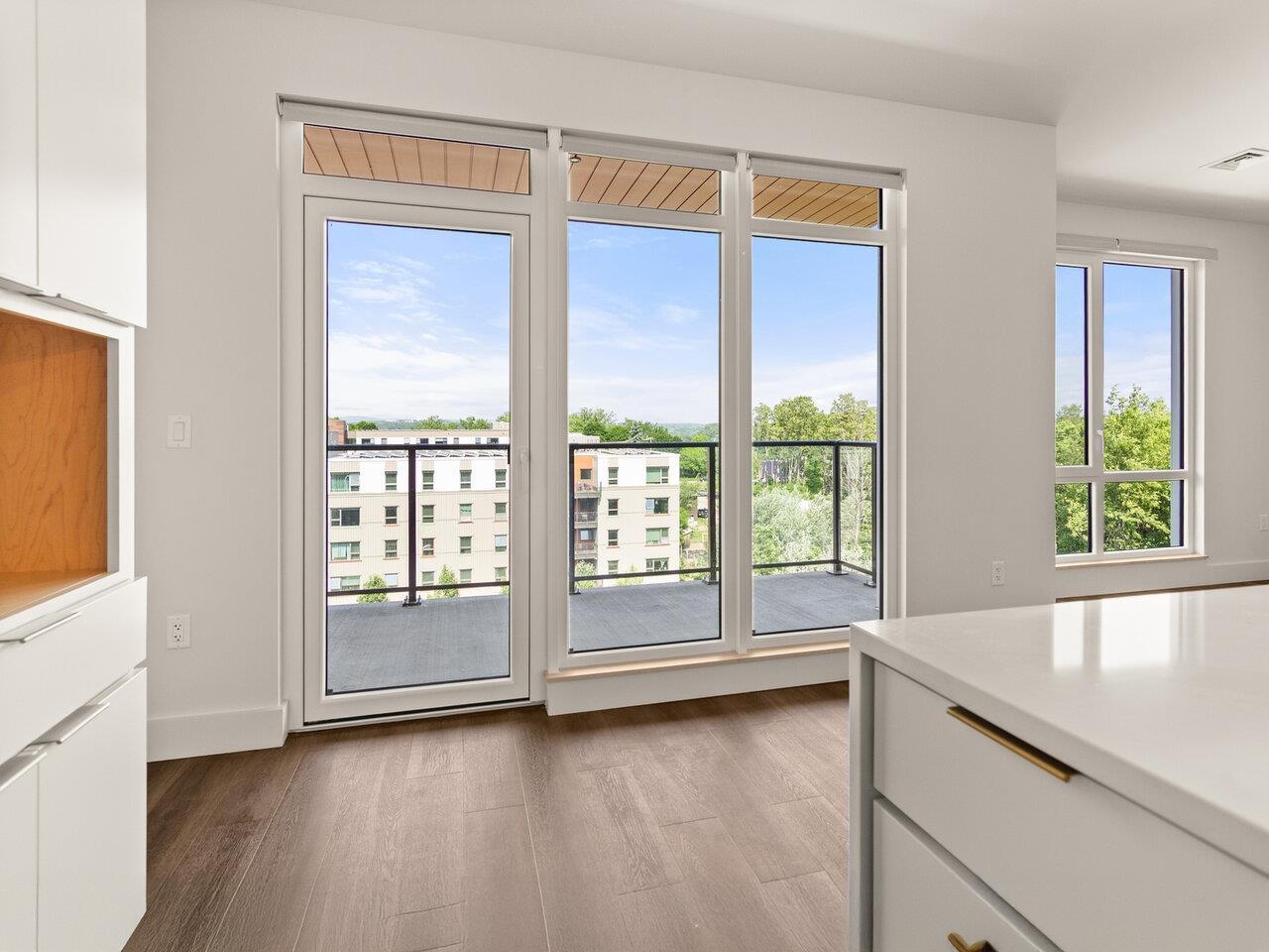 Burlington, Vermont, 05401, United States, 1 Bedroom Bedrooms, ,Residential,For Sale,1777342