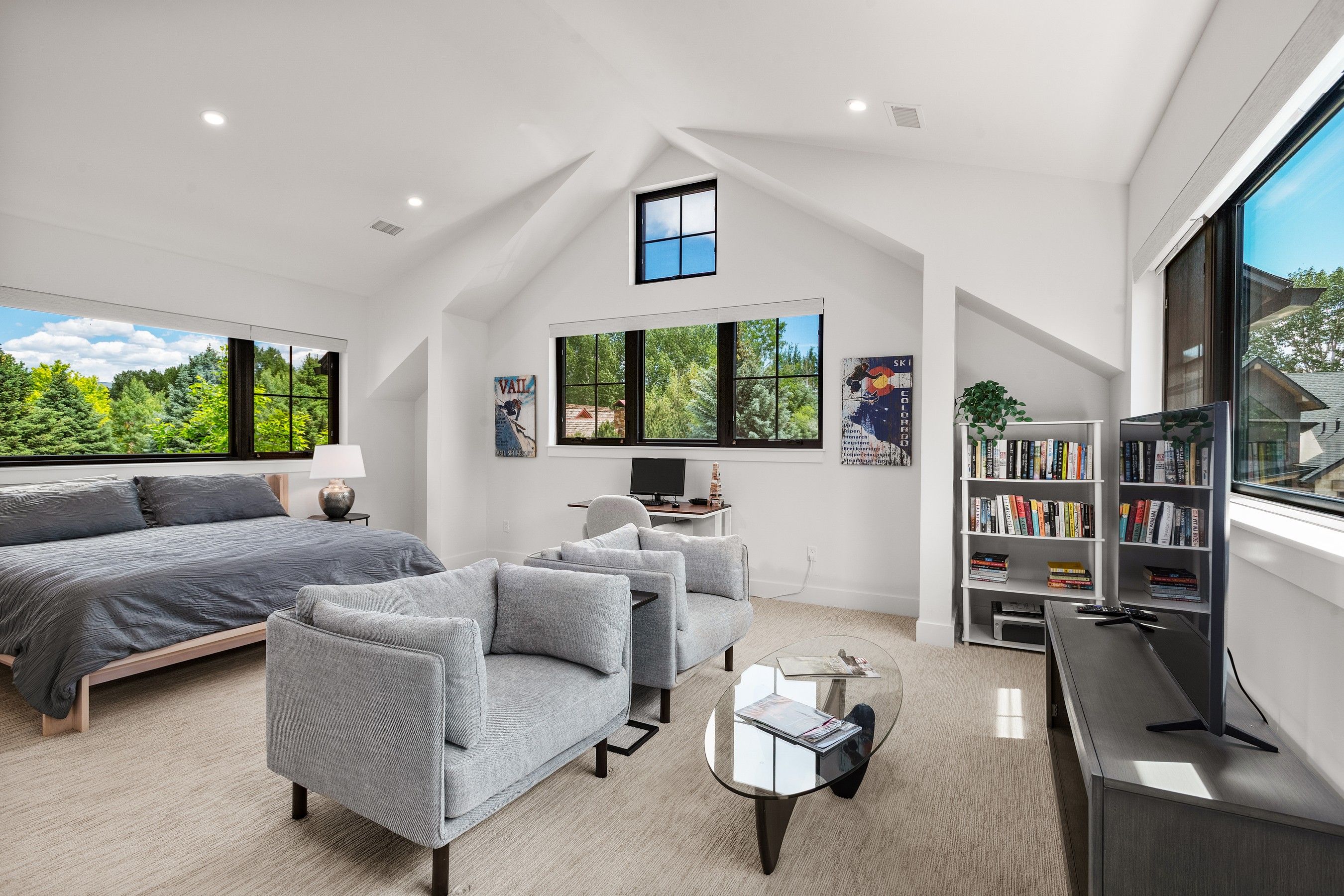  303 Golden Bear Drive, Carbondale, CO 81623 - 物件實景