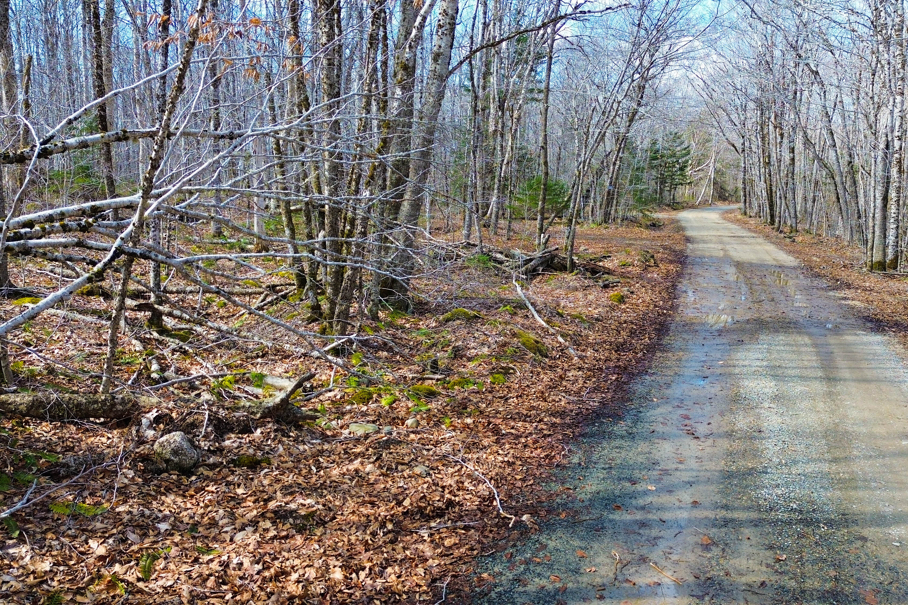  New Tusket, South Shore - 物件實景