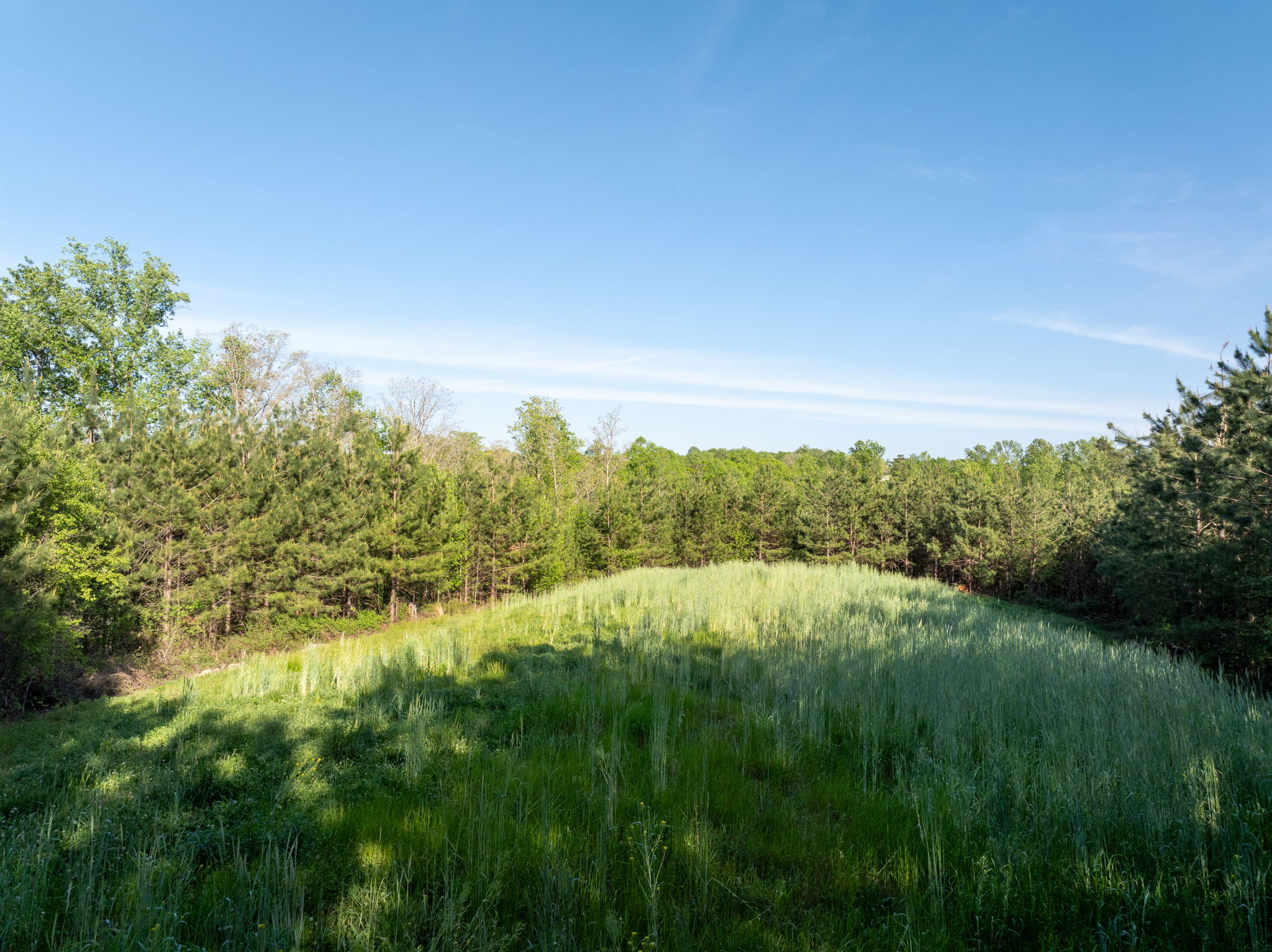  Lyle Farm - 物件實景