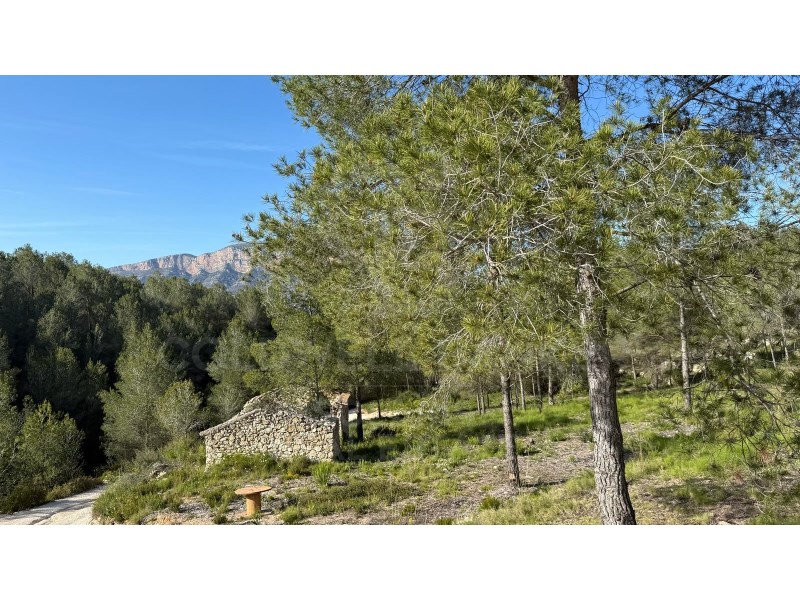 Jávea / Xàbia, Comunidad Valenciana, ES, 5 Bedrooms Bedrooms, ,5 BathroomsBathrooms,Residential,For Sale,1759817