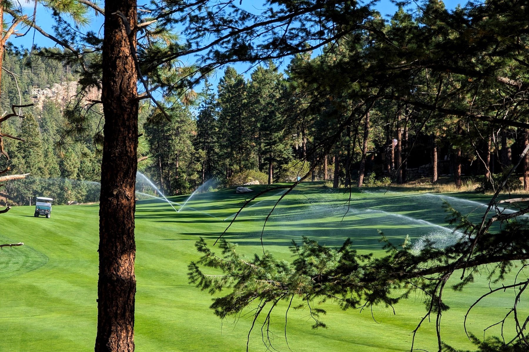  73 S Tamarron Drive #817, Durango, CO 81301 - 物件實景